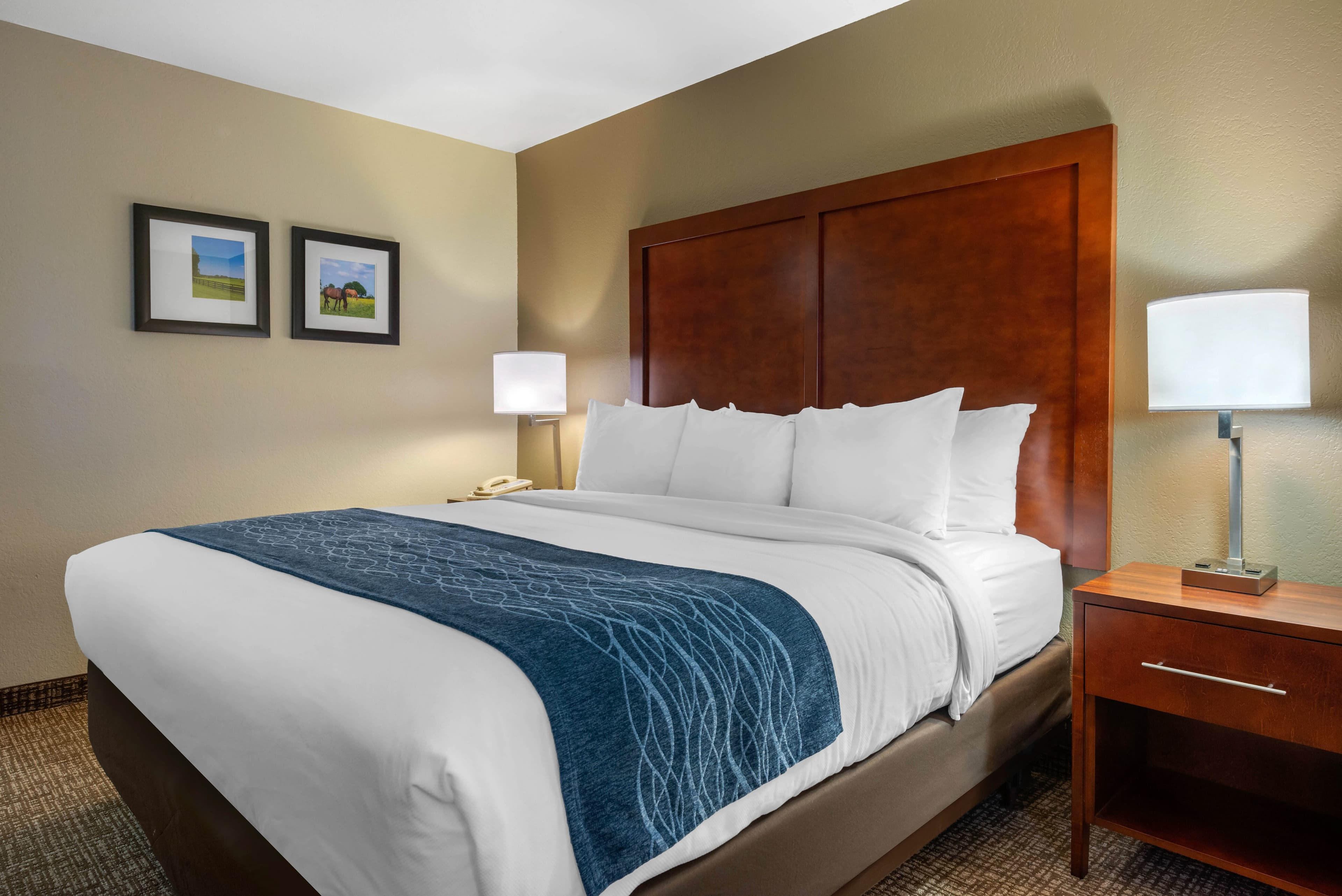 Comfort Inn Ocala Silver Springs - Image 5