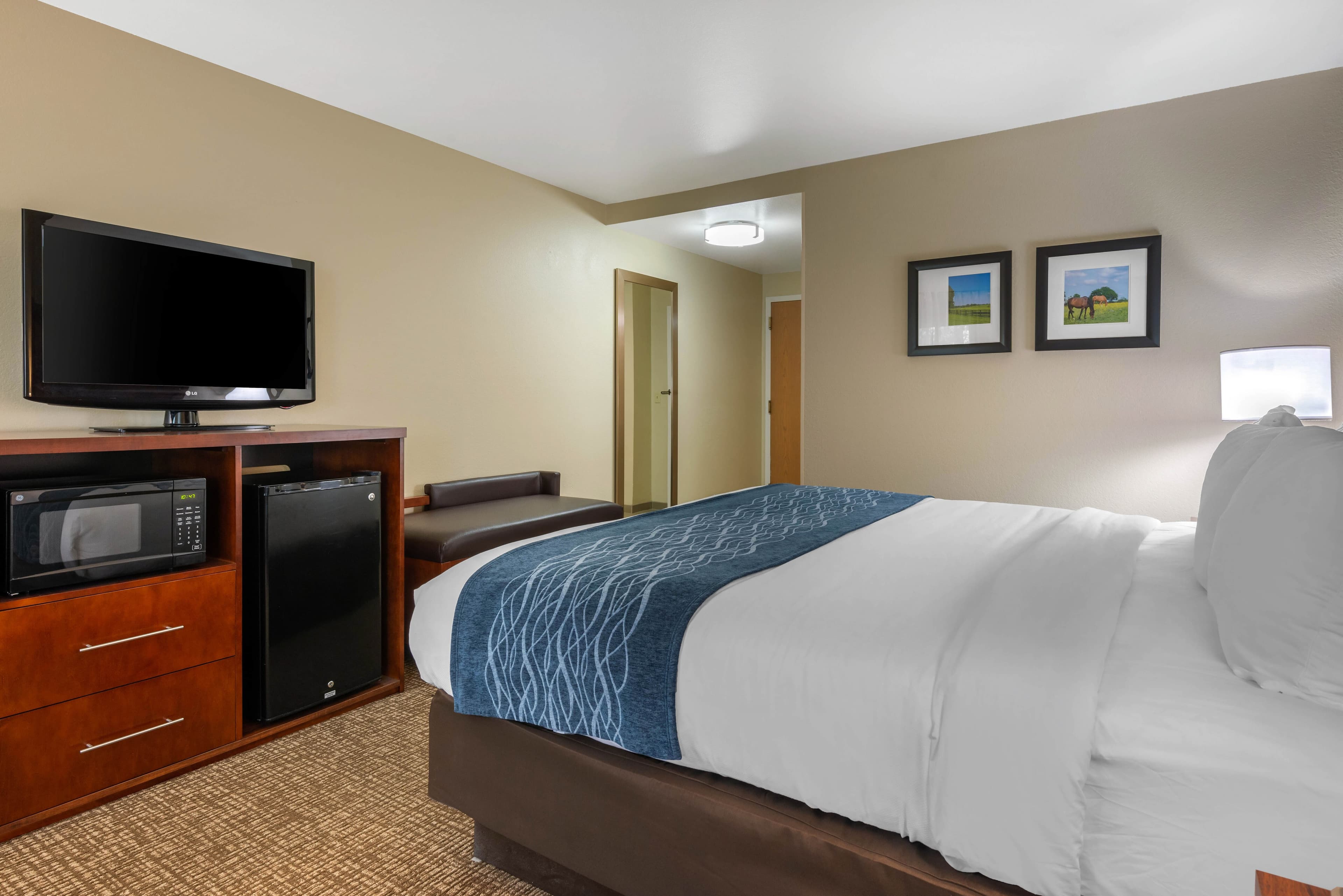 Comfort Inn Ocala Silver Springs — 13