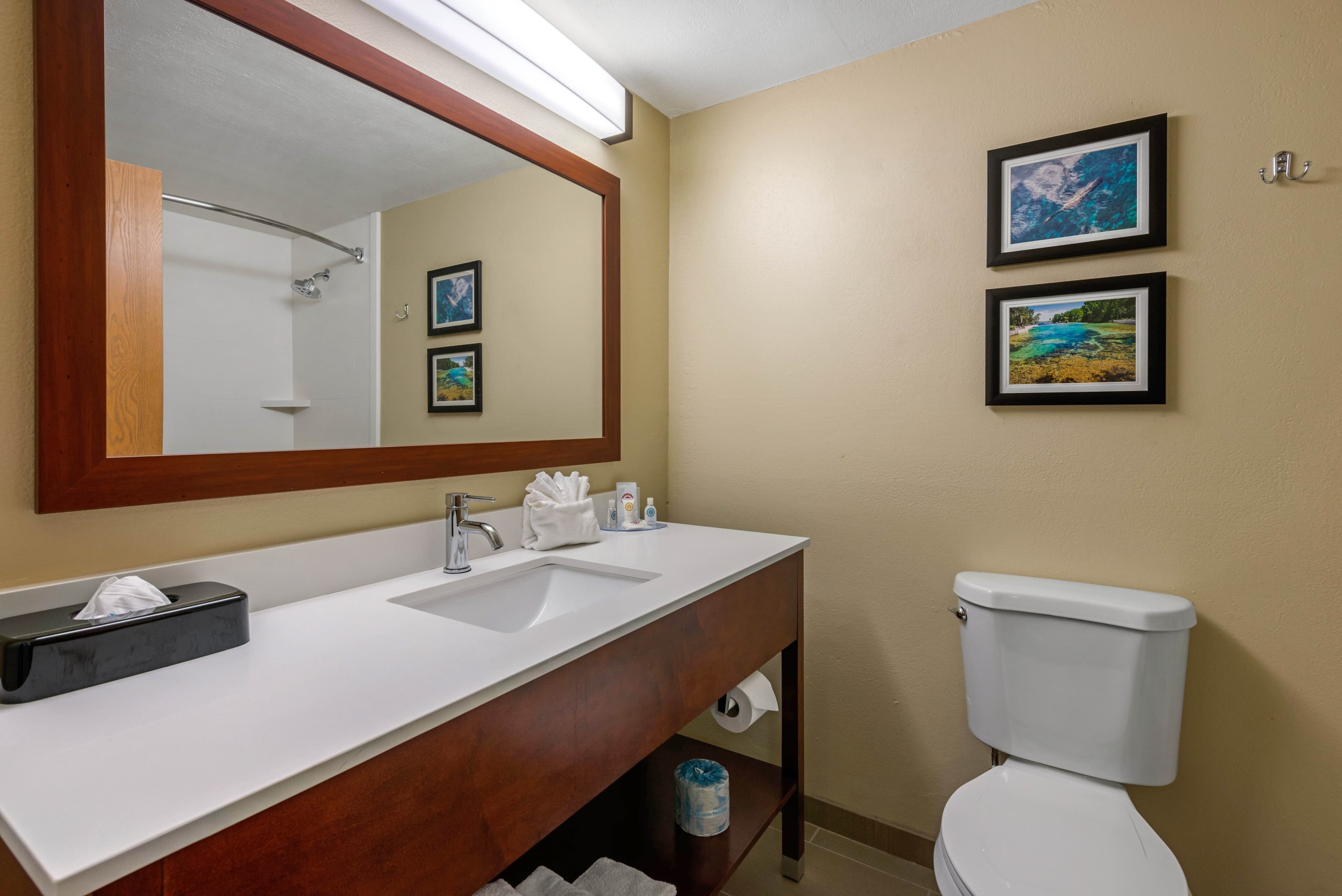 Comfort Inn Ocala Silver Springs — 10