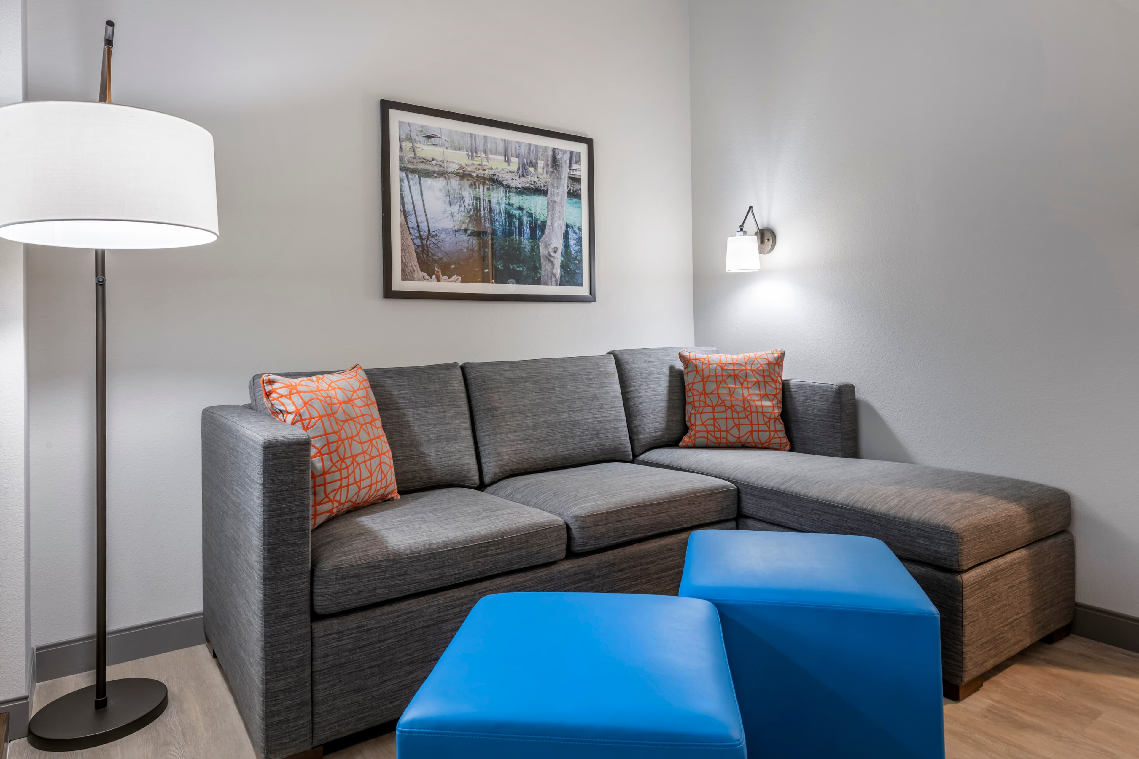 Comfort Suites Gainesville Near University — 37