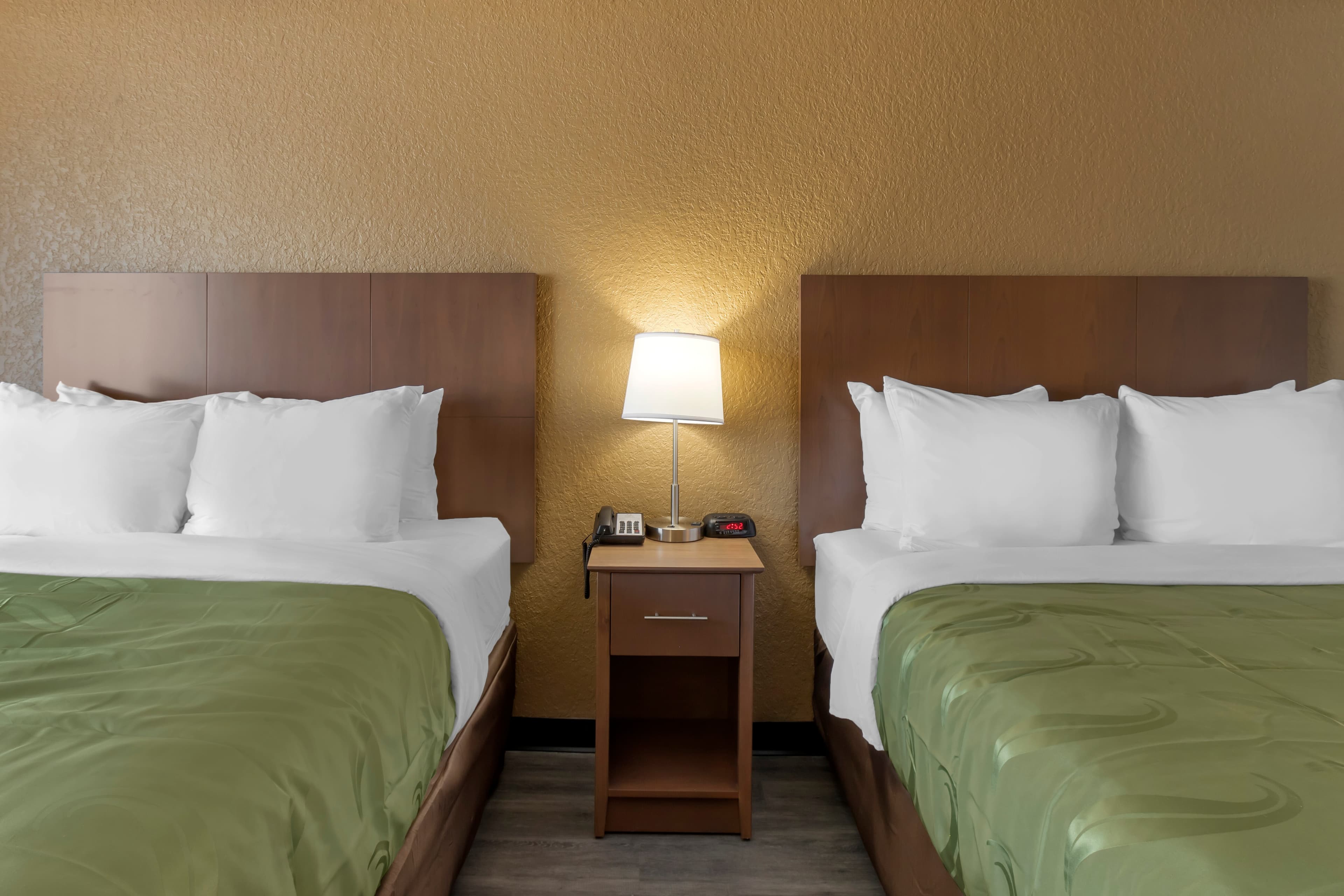 Quality Inn Saint Petersburg North-Tampa Bay — 17