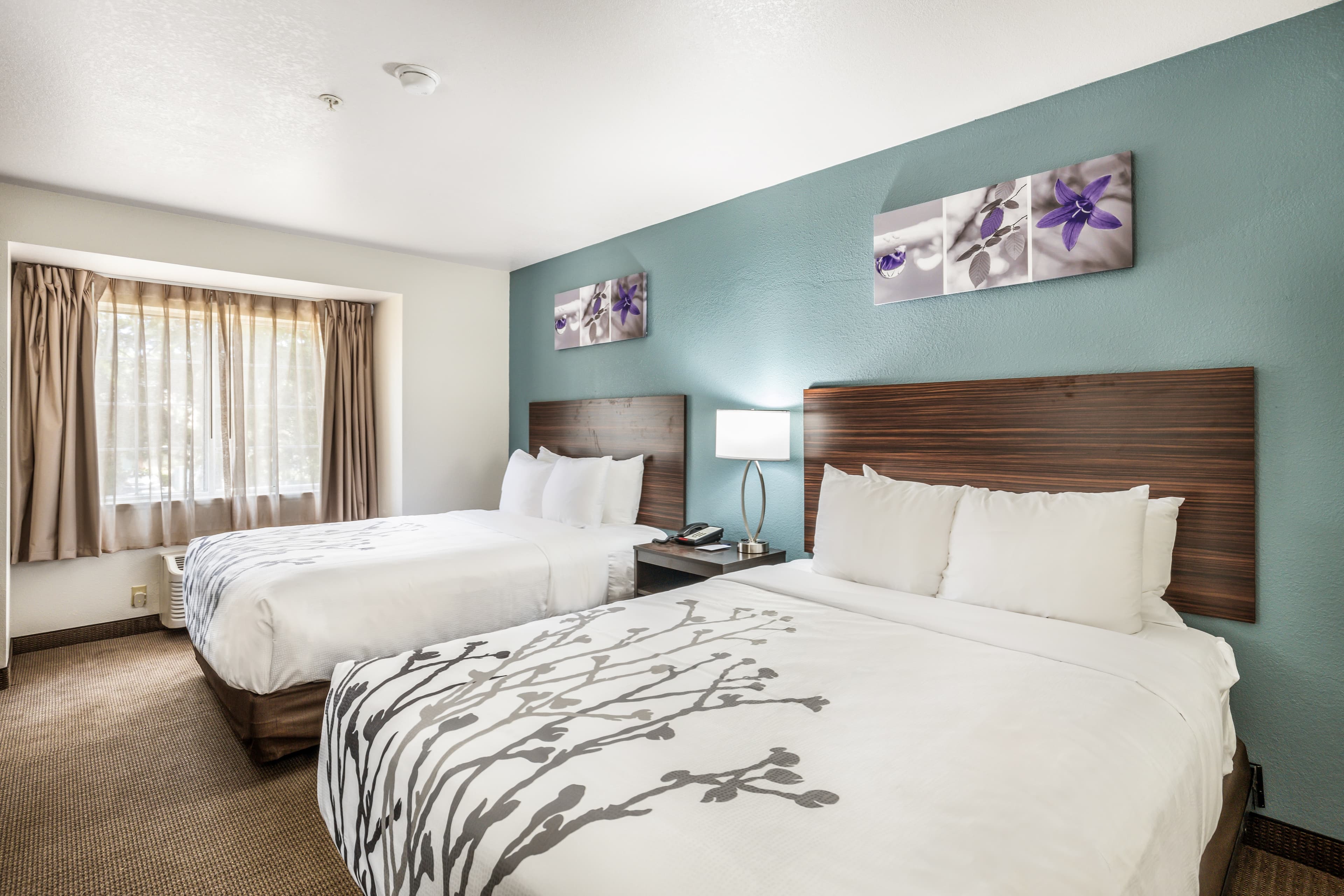 Sleep Inn & Suites Tallahassee-Capitol — 4