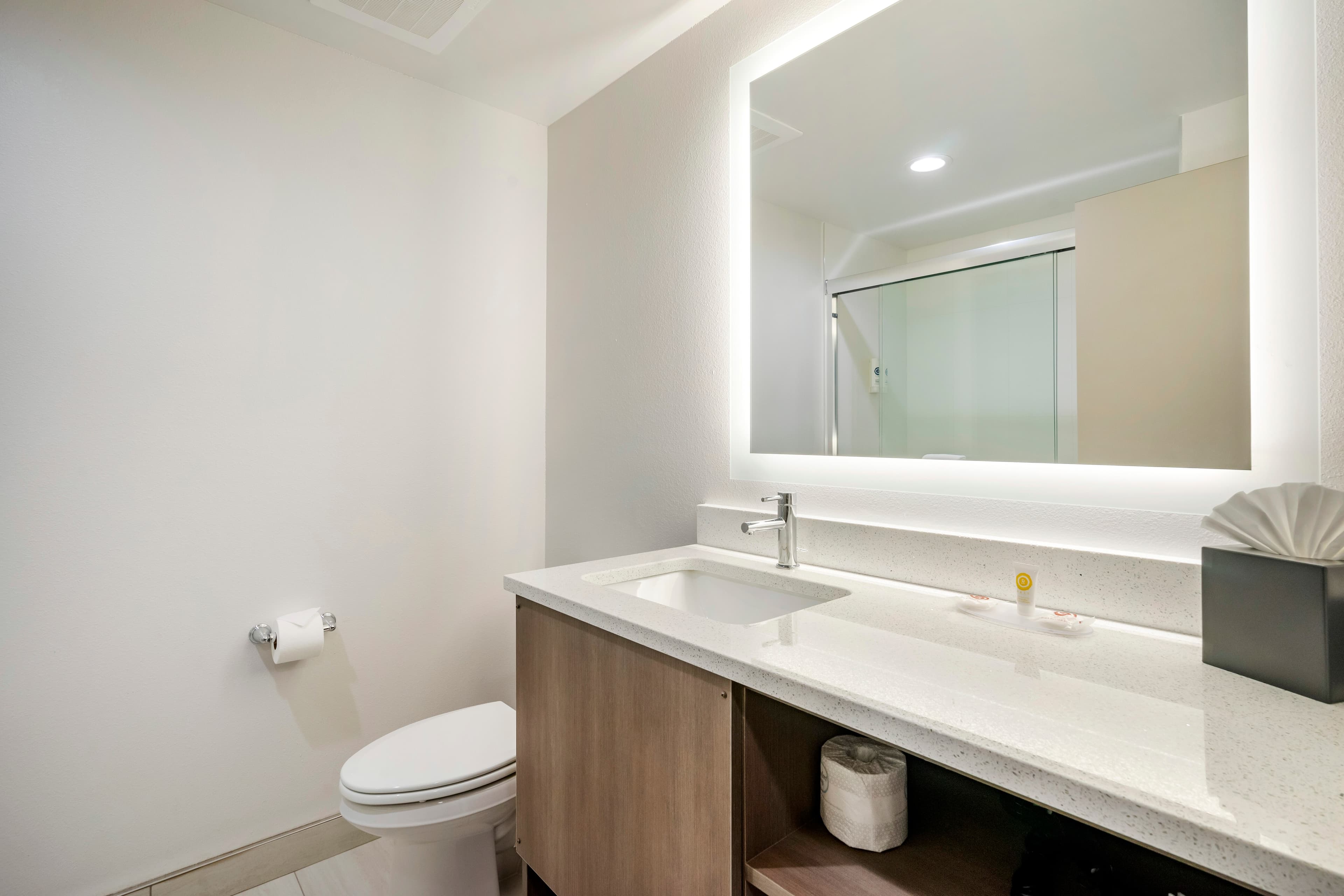 Comfort Inn & Suites New Port Richey Downtown District - Image 4