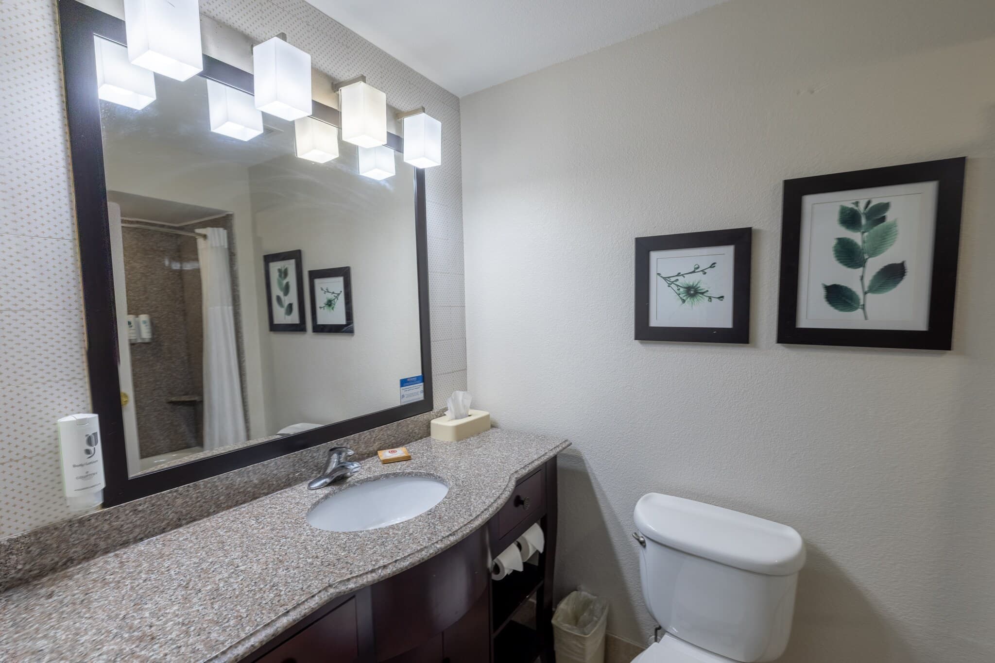 Country Inn & Suites by Radisson, St. Petersburg - Clearwater, FL — 9