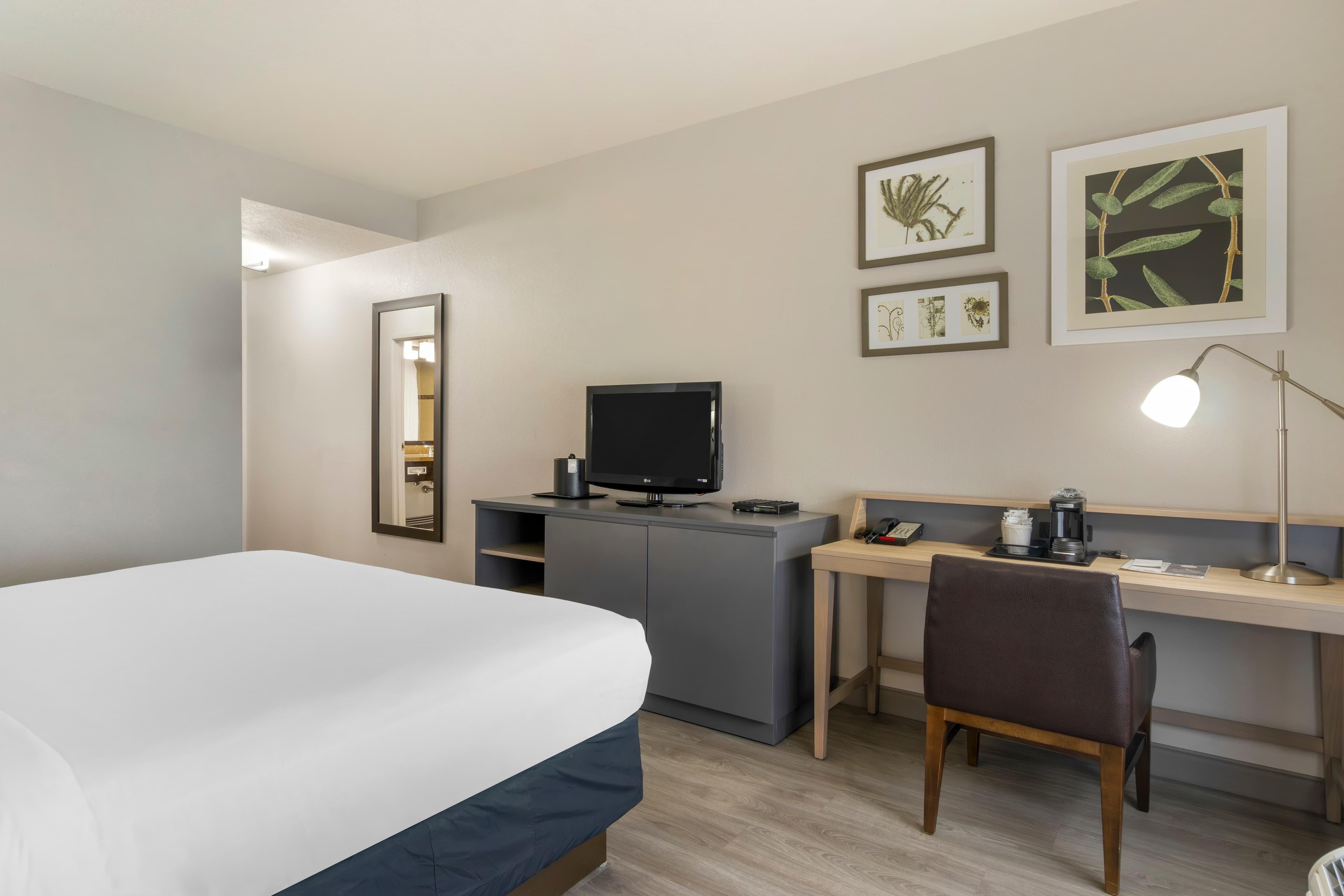 Country Inn & Suites by Radisson, Tampa Airport North, FL - Image 4