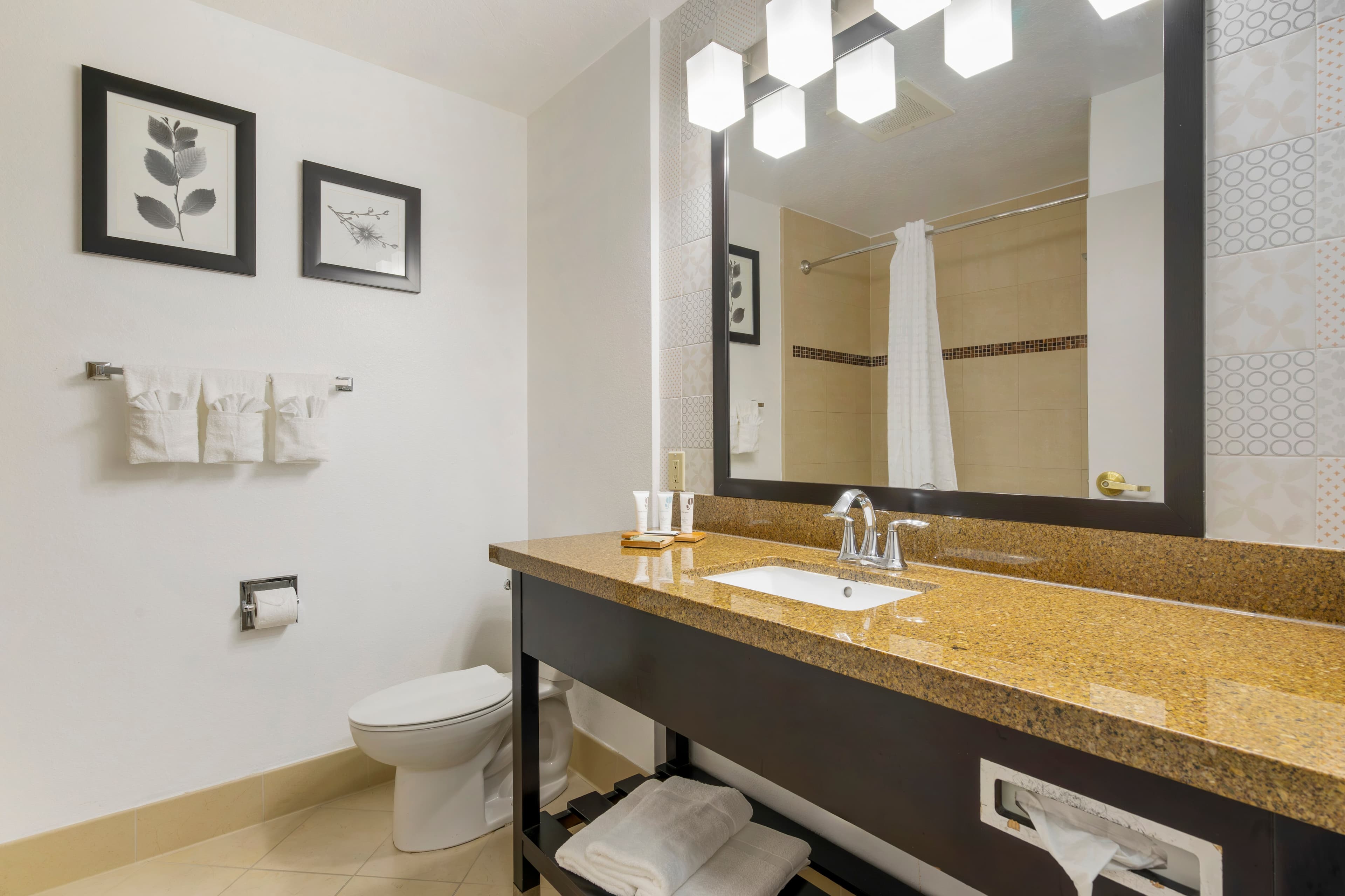 Country Inn & Suites by Radisson, Tampa Airport North, FL - Image 5