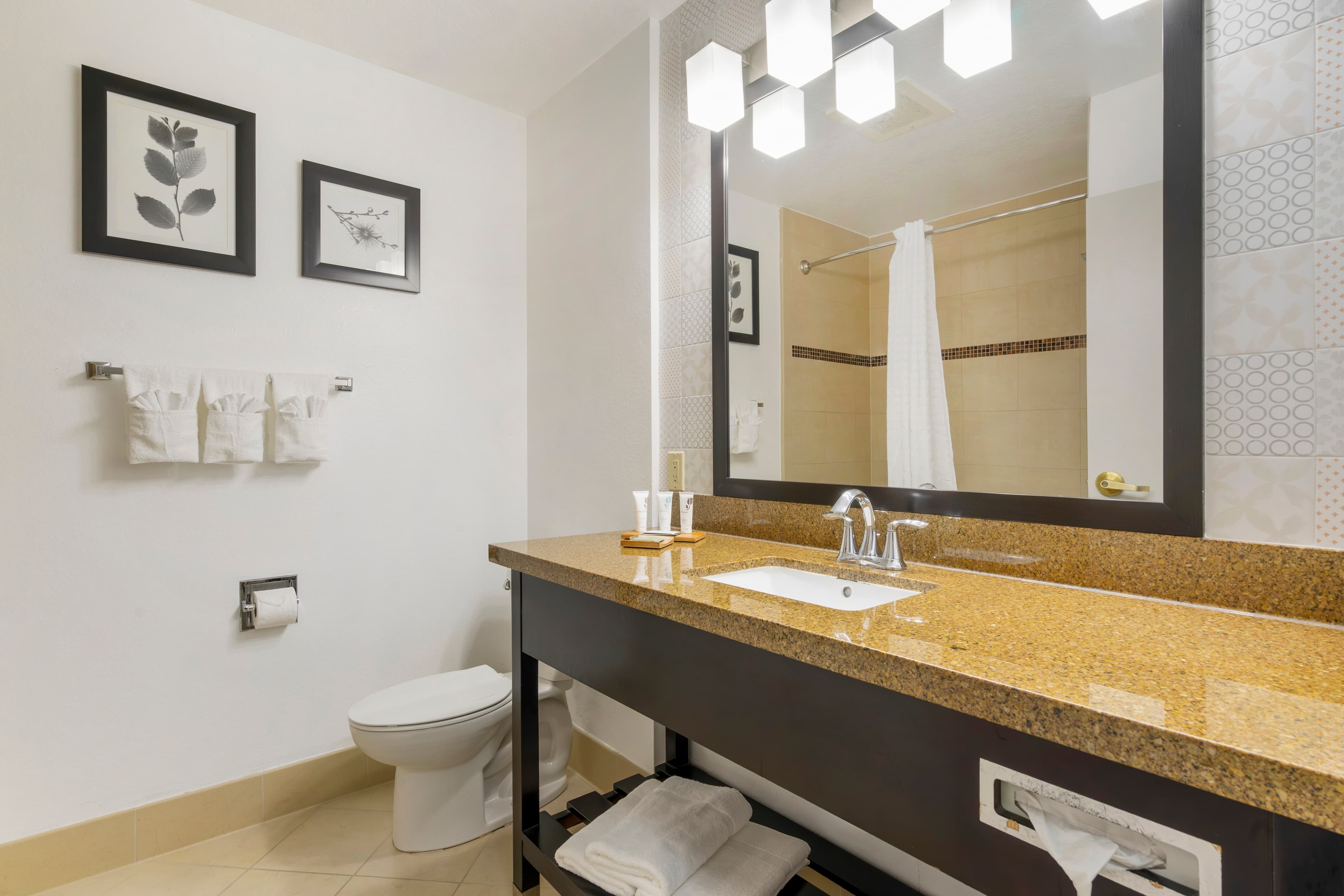 Country Inn & Suites by Radisson, Tampa Airport North, FL — 13
