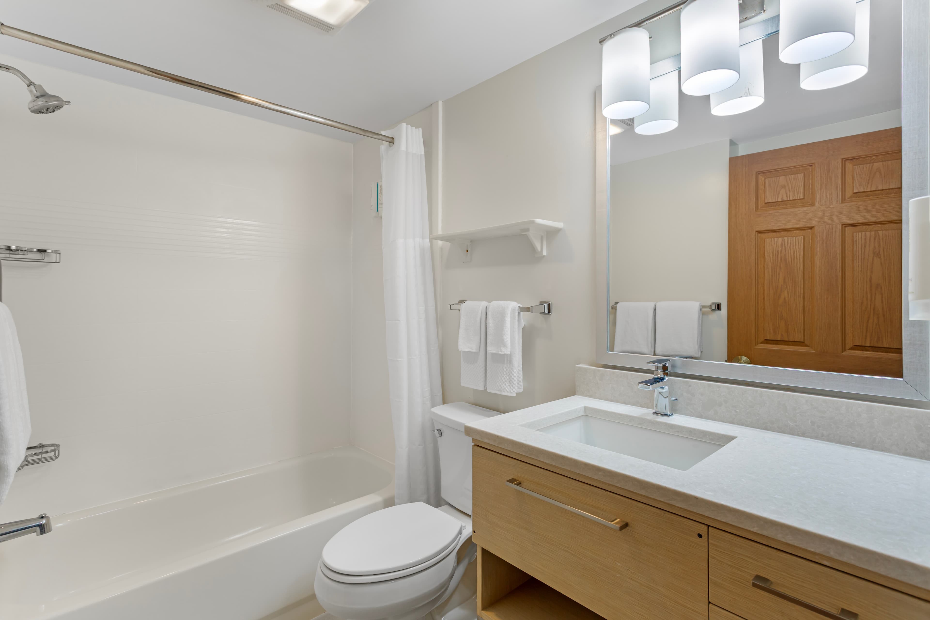 MainStay Suites Tampa Moffitt-USF - Image 5
