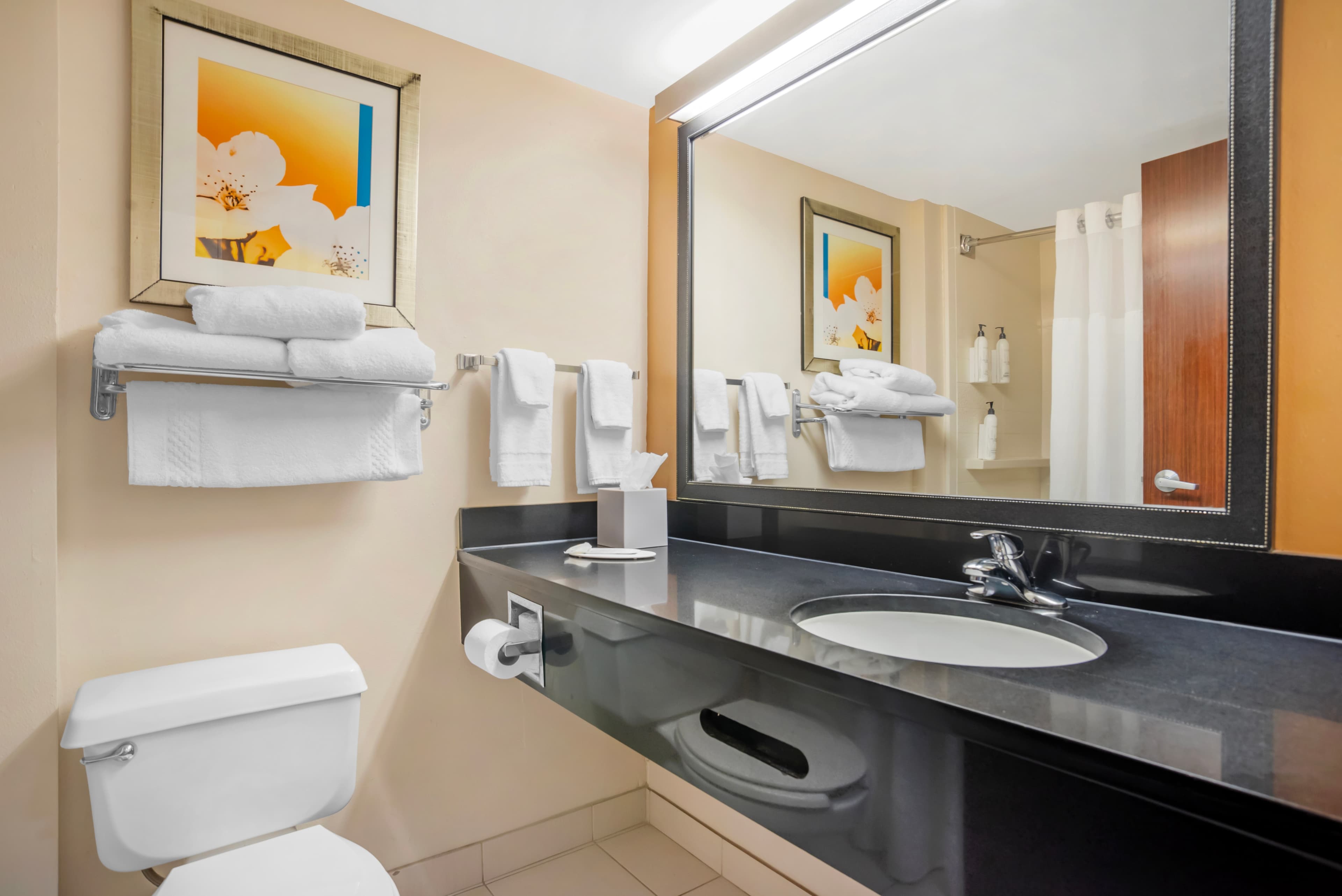 Rodeway Inn — 16