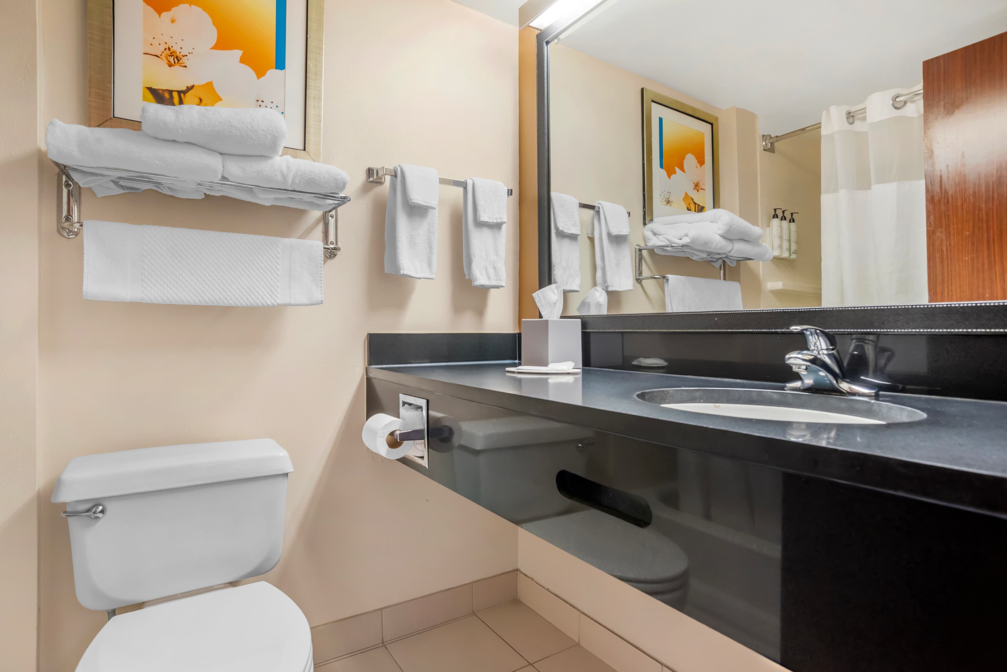 Rodeway Inn — 28