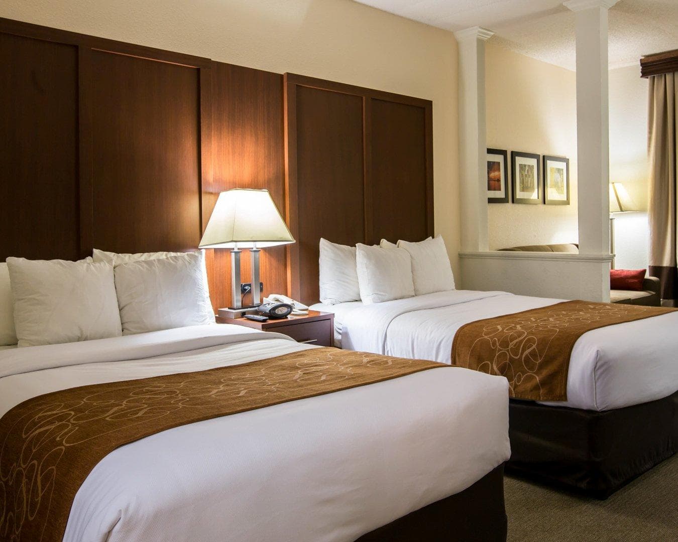 Comfort Suites Cumming-Atlanta near Northside Hospital Forsyth — 3