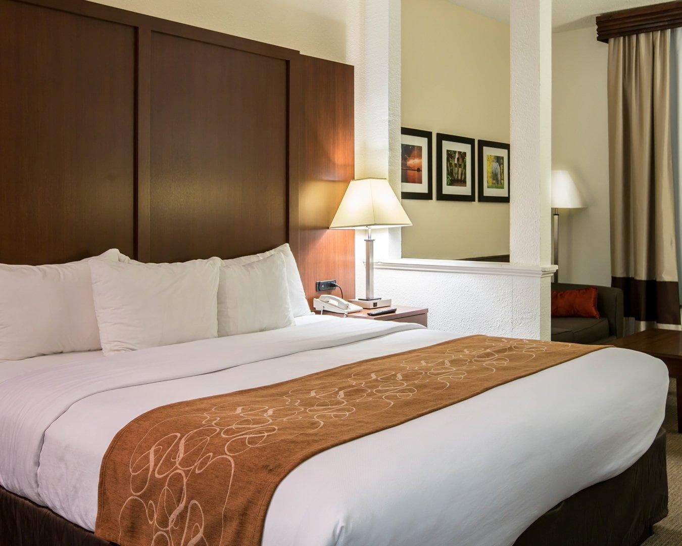 Comfort Suites Cumming-Atlanta near Northside Hospital Forsyth — 11