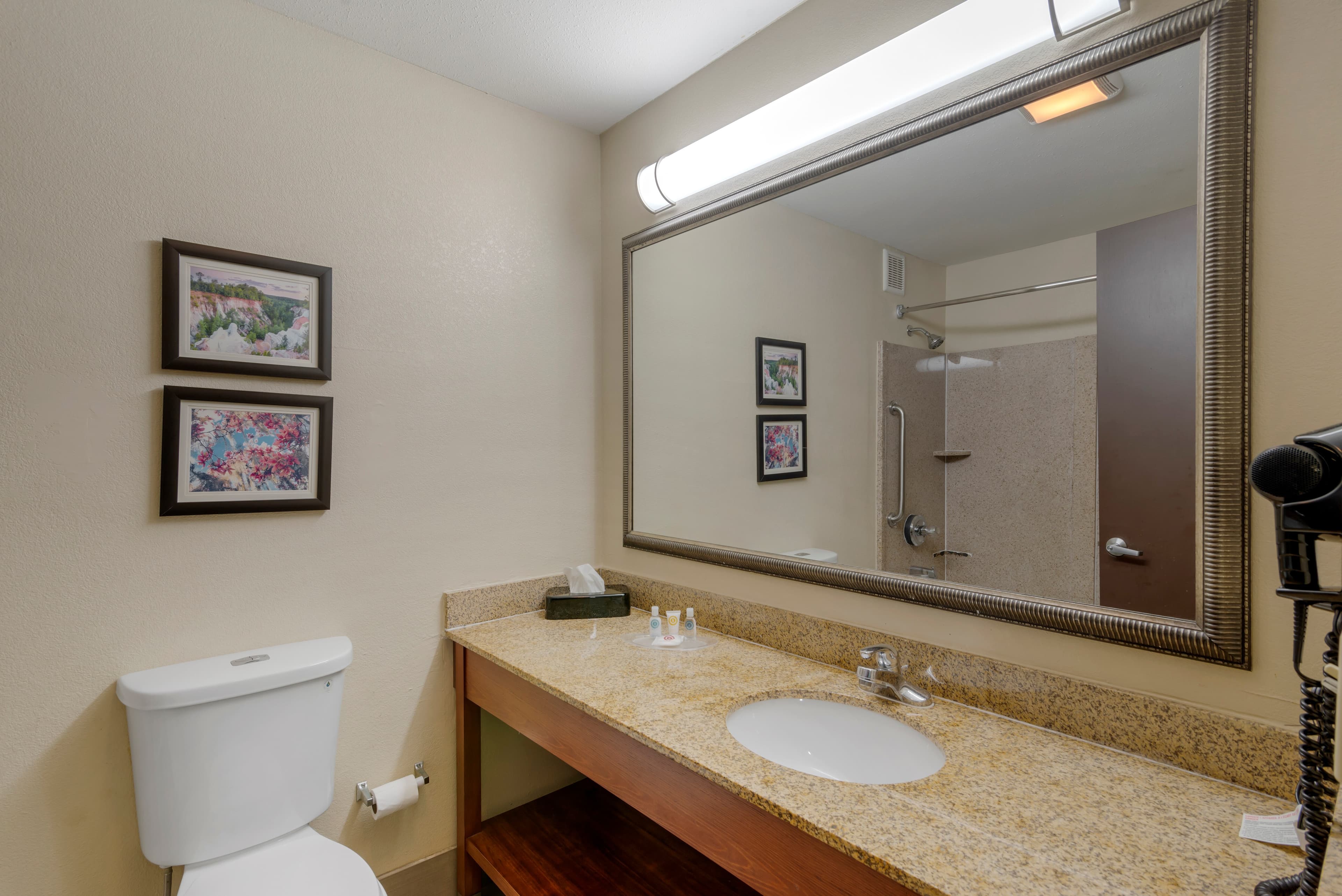 Comfort Suites Columbus State University Area — 9