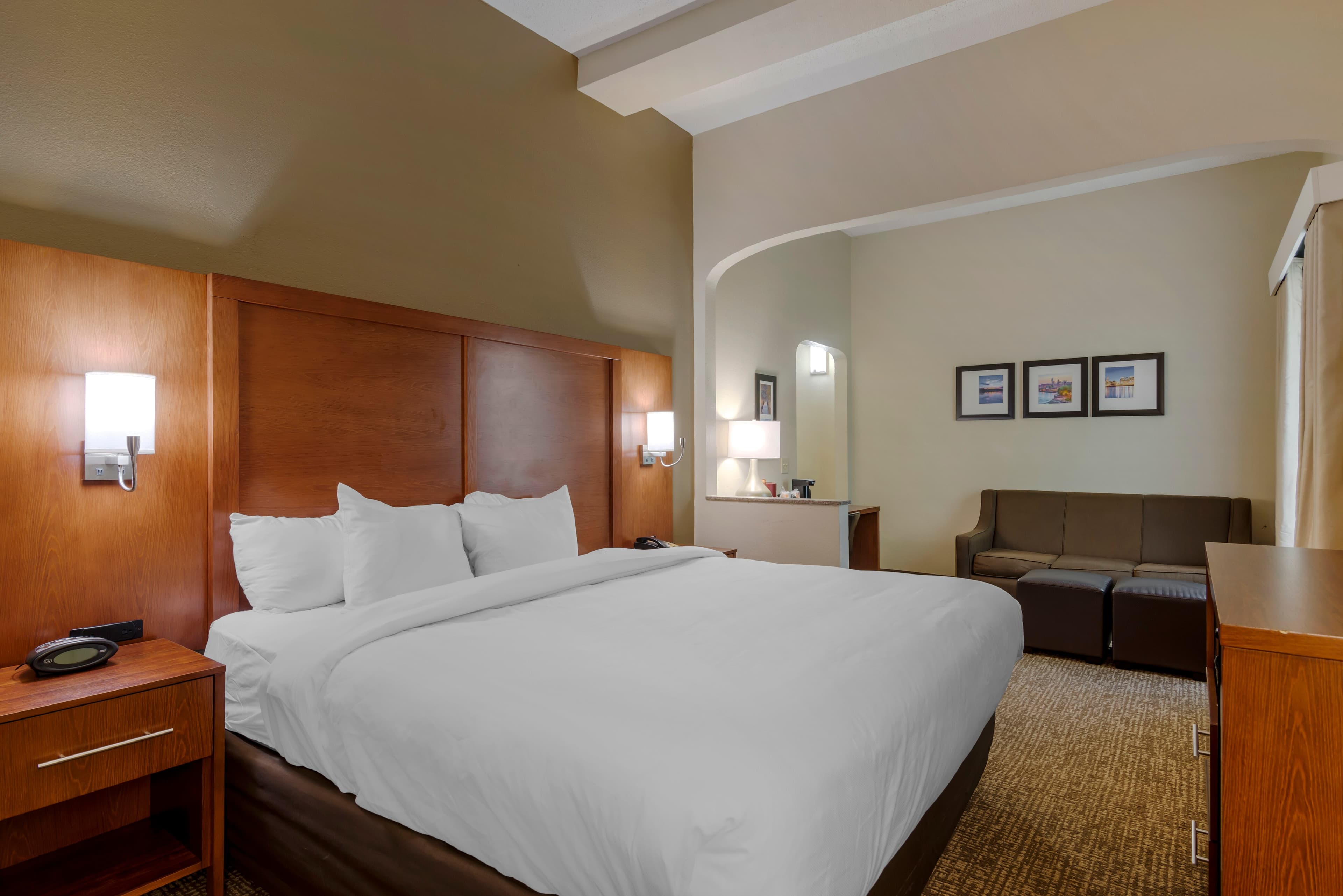 Comfort Suites Columbus State University Area - Image 3
