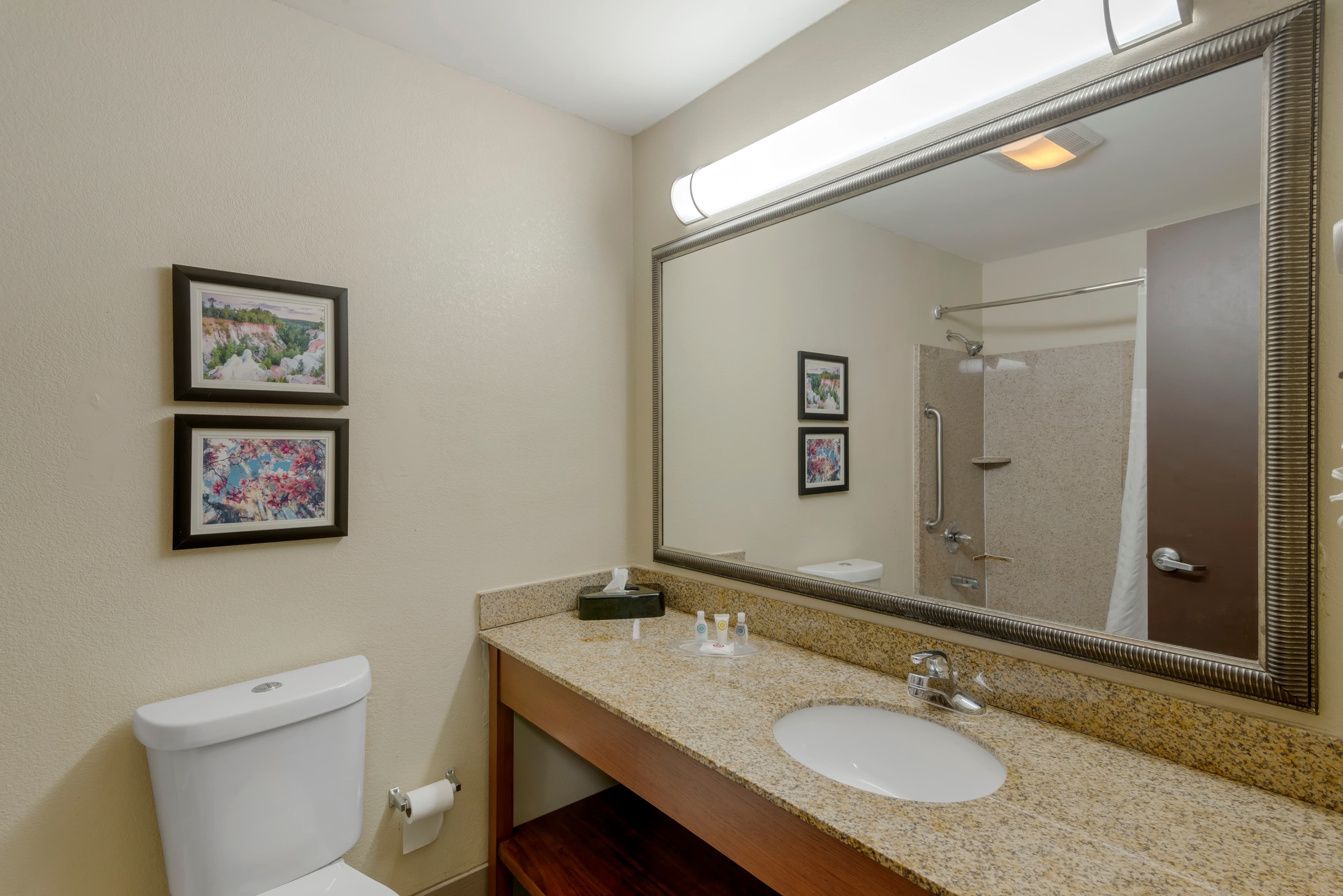 Comfort Suites Columbus State University Area — 13