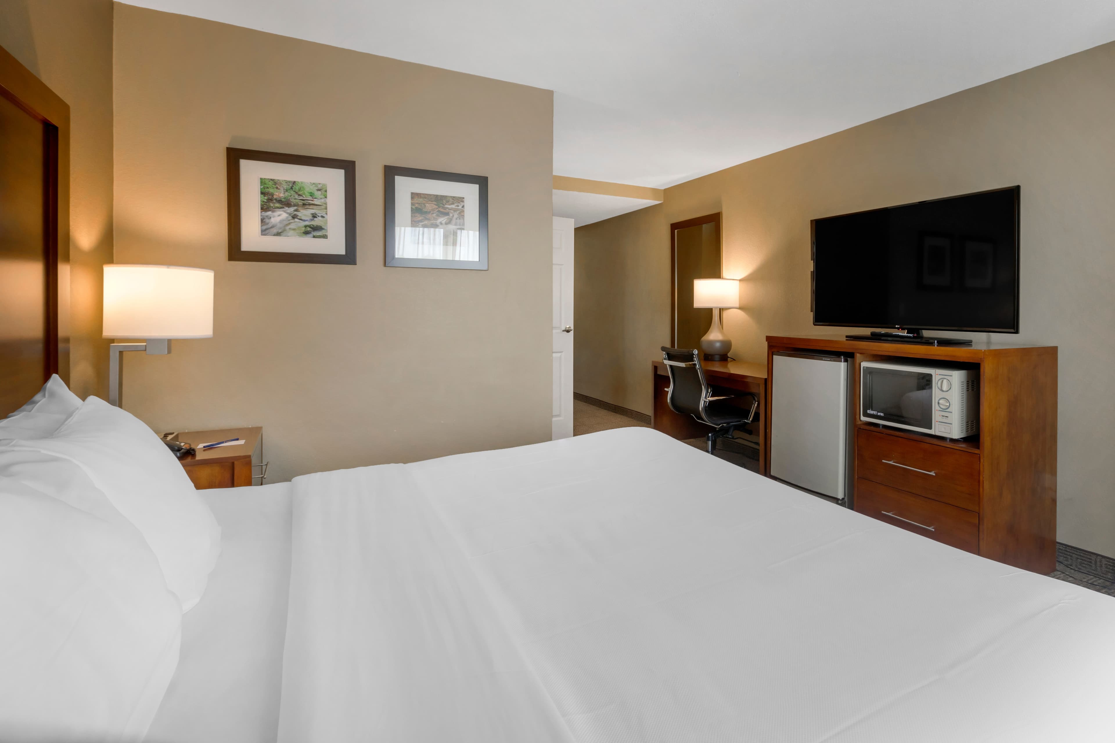 Comfort Inn & Suites Peachtree Corners - Norcross - Image 5