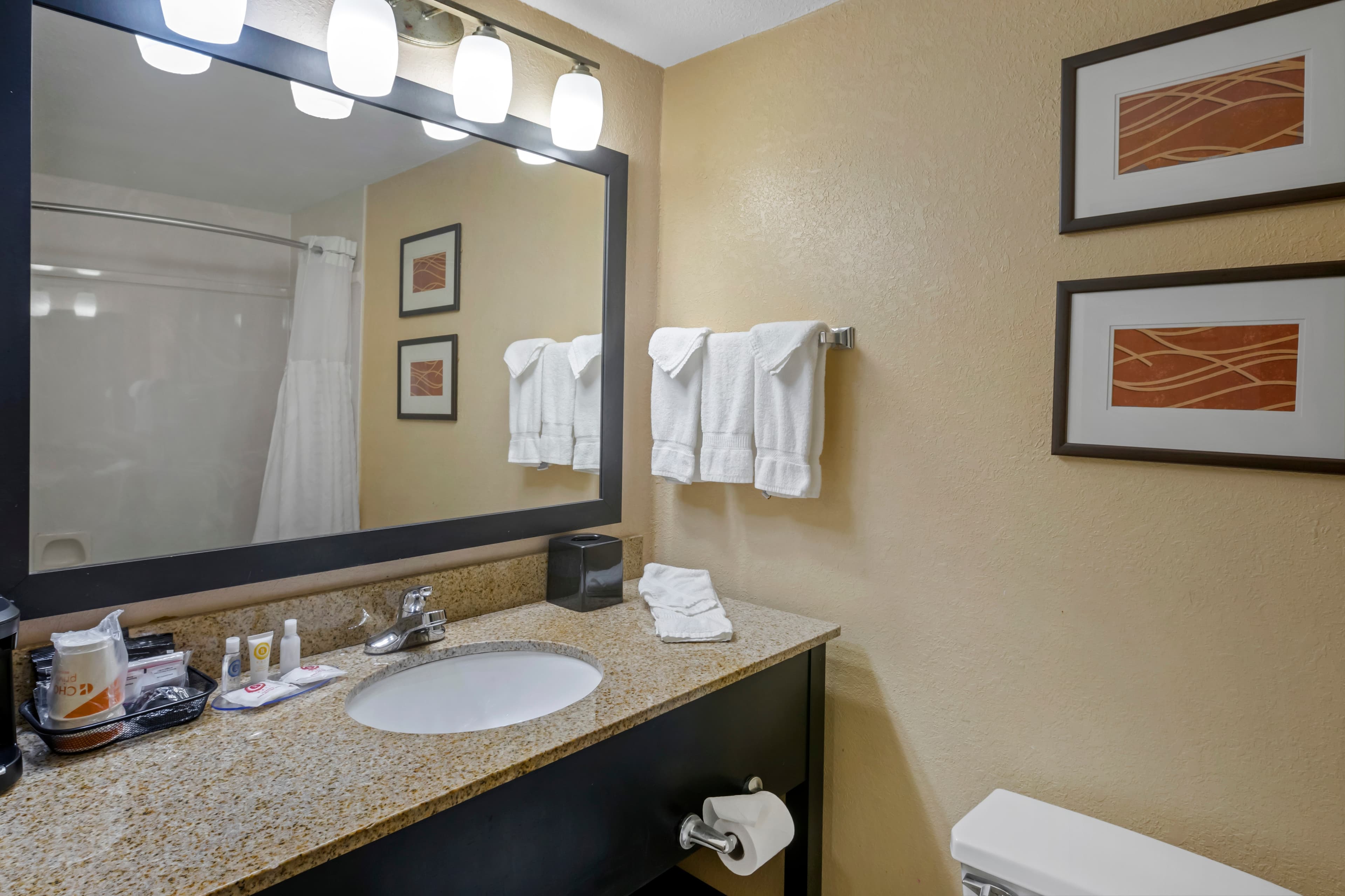 Comfort Inn & Suites Peachtree Corners - Norcross — 12