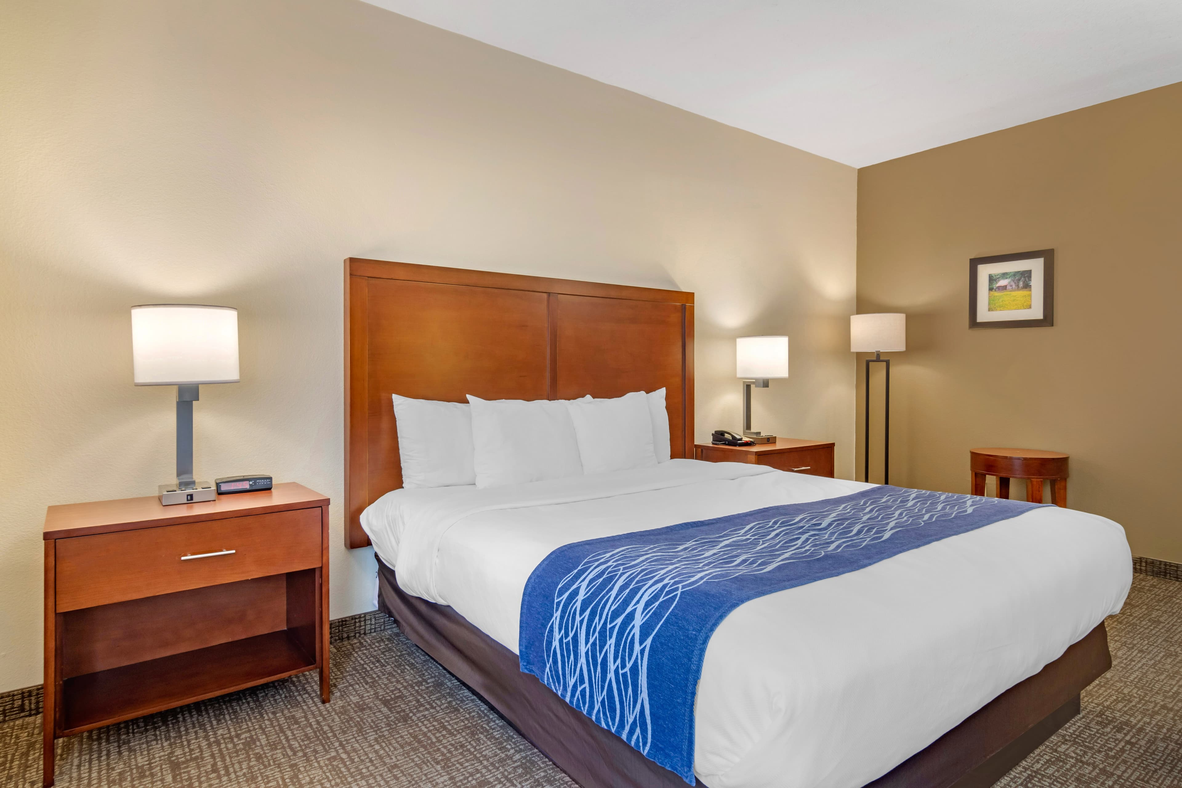 Comfort Inn Douglasville - Atlanta West - Image 3