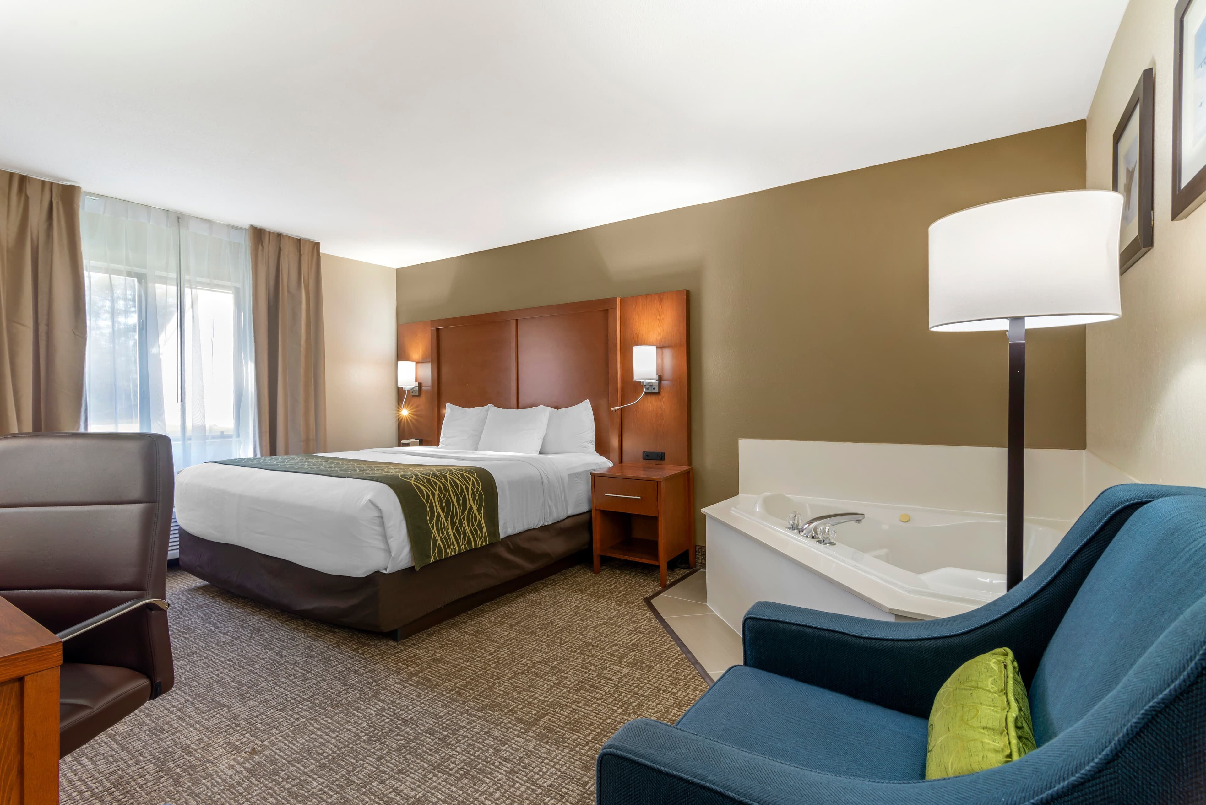 Comfort Inn & Suites - near Robins Air Force Base Main Gate - Image 2
