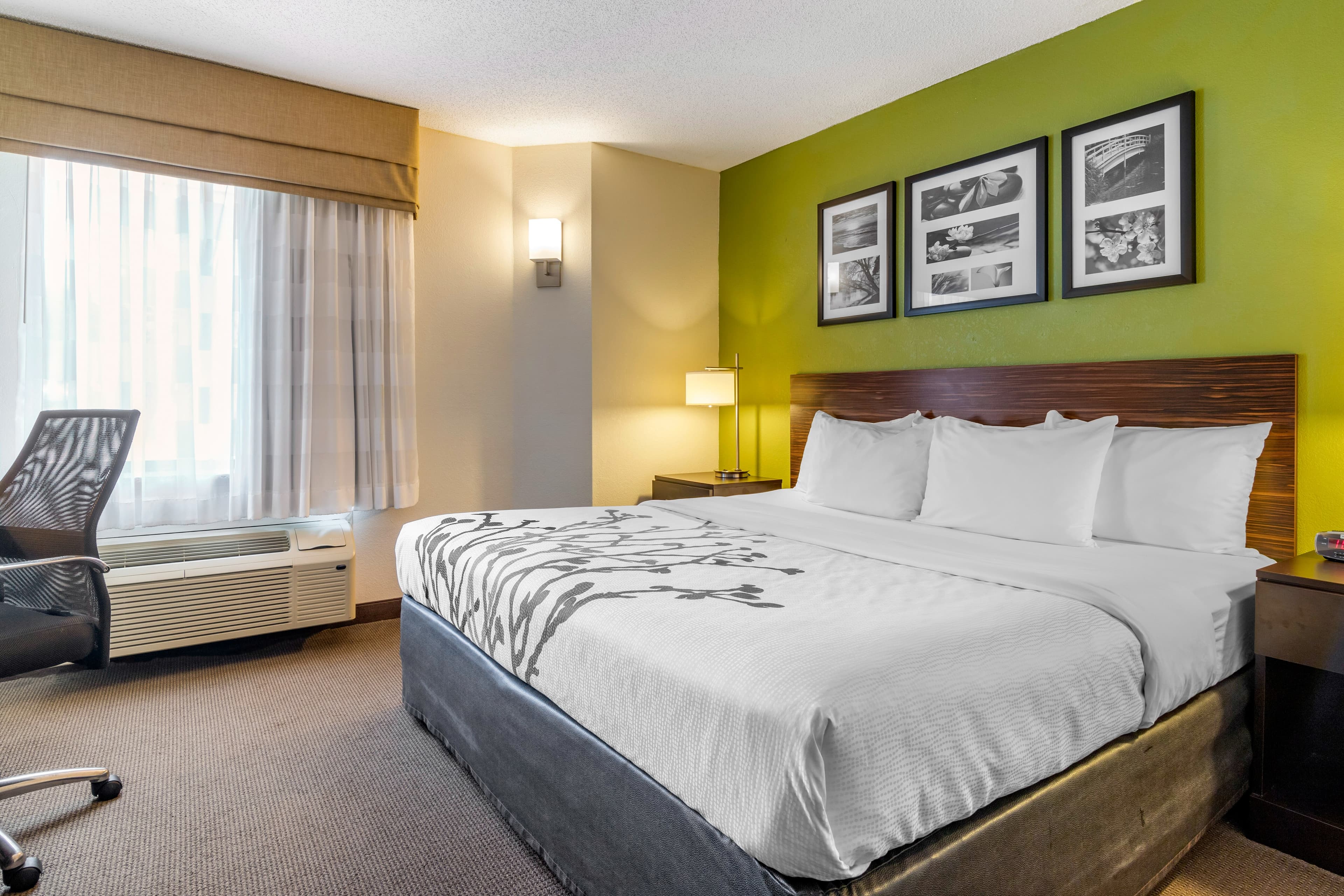 Sleep Inn I-95 North Savannah — 12