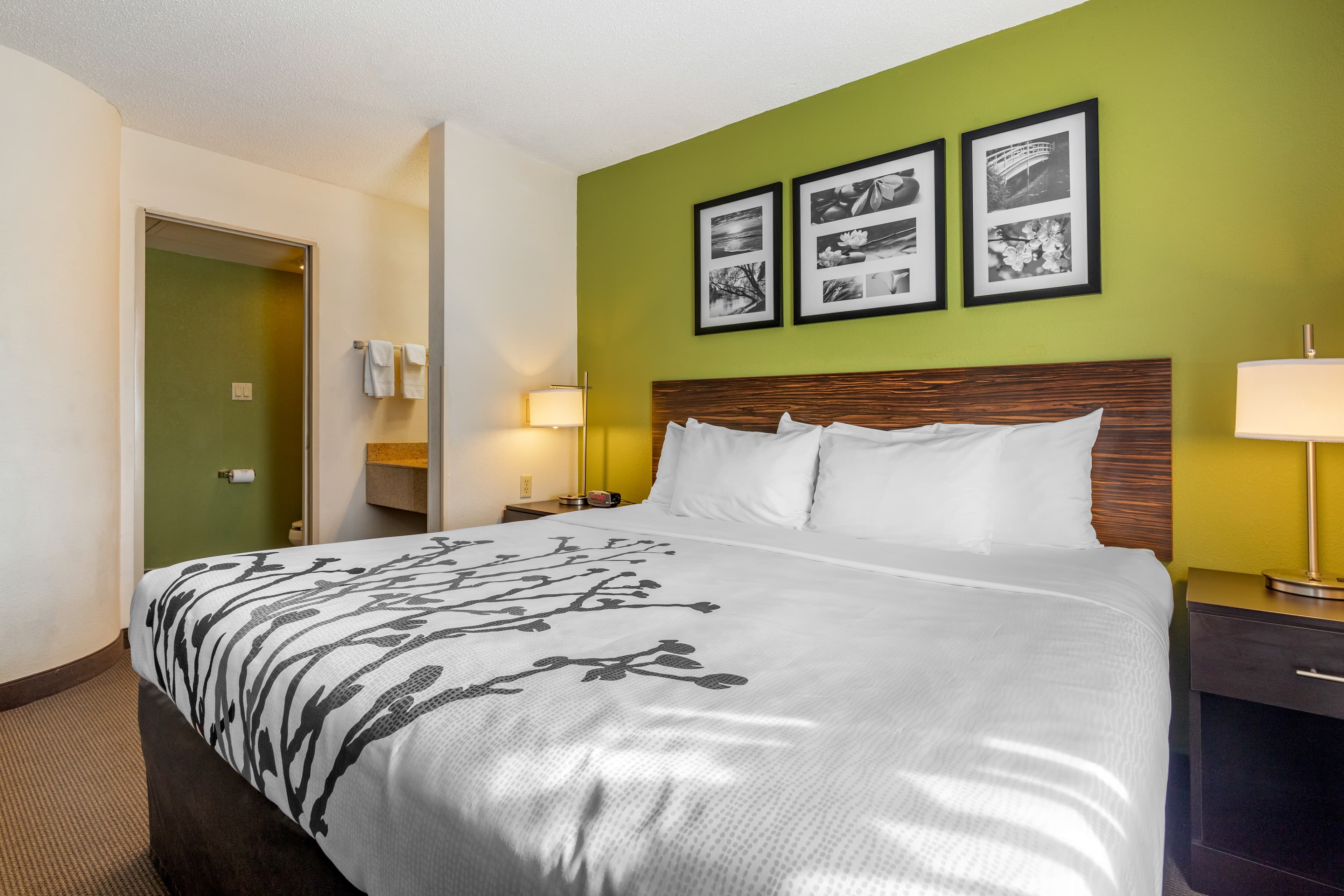 Sleep Inn I-95 North Savannah — 22