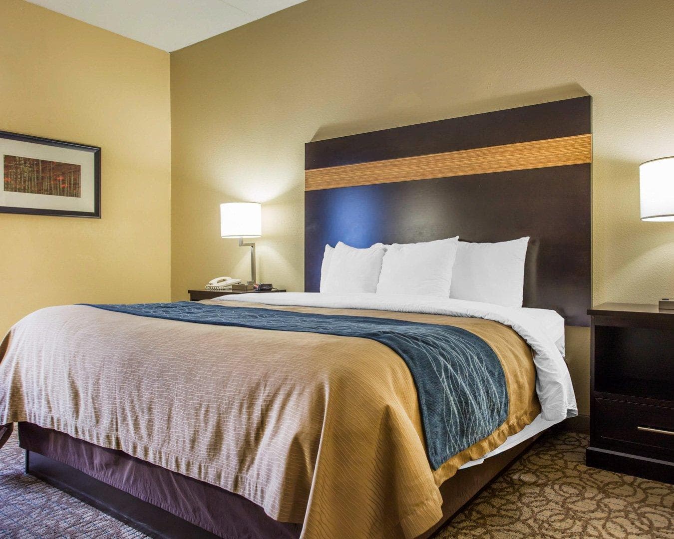 Comfort Inn & Suites at Stone Mountain - Image 2