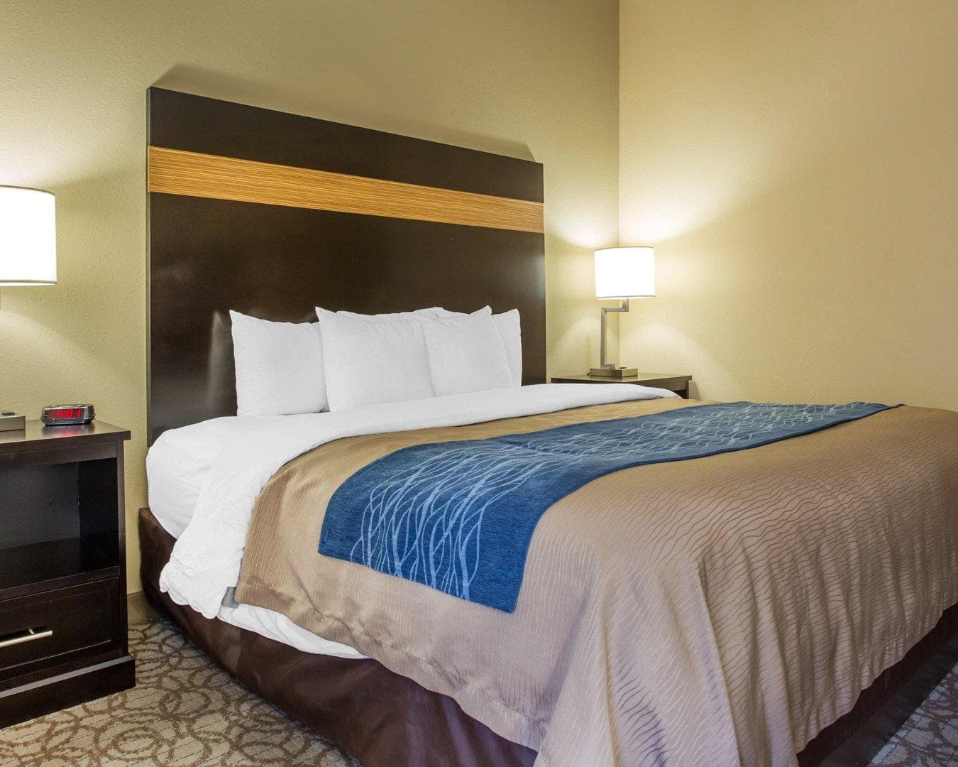 Comfort Inn & Suites at Stone Mountain - Image 3