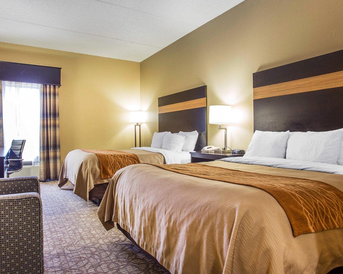 Comfort Inn & Suites at Stone Mountain — 8