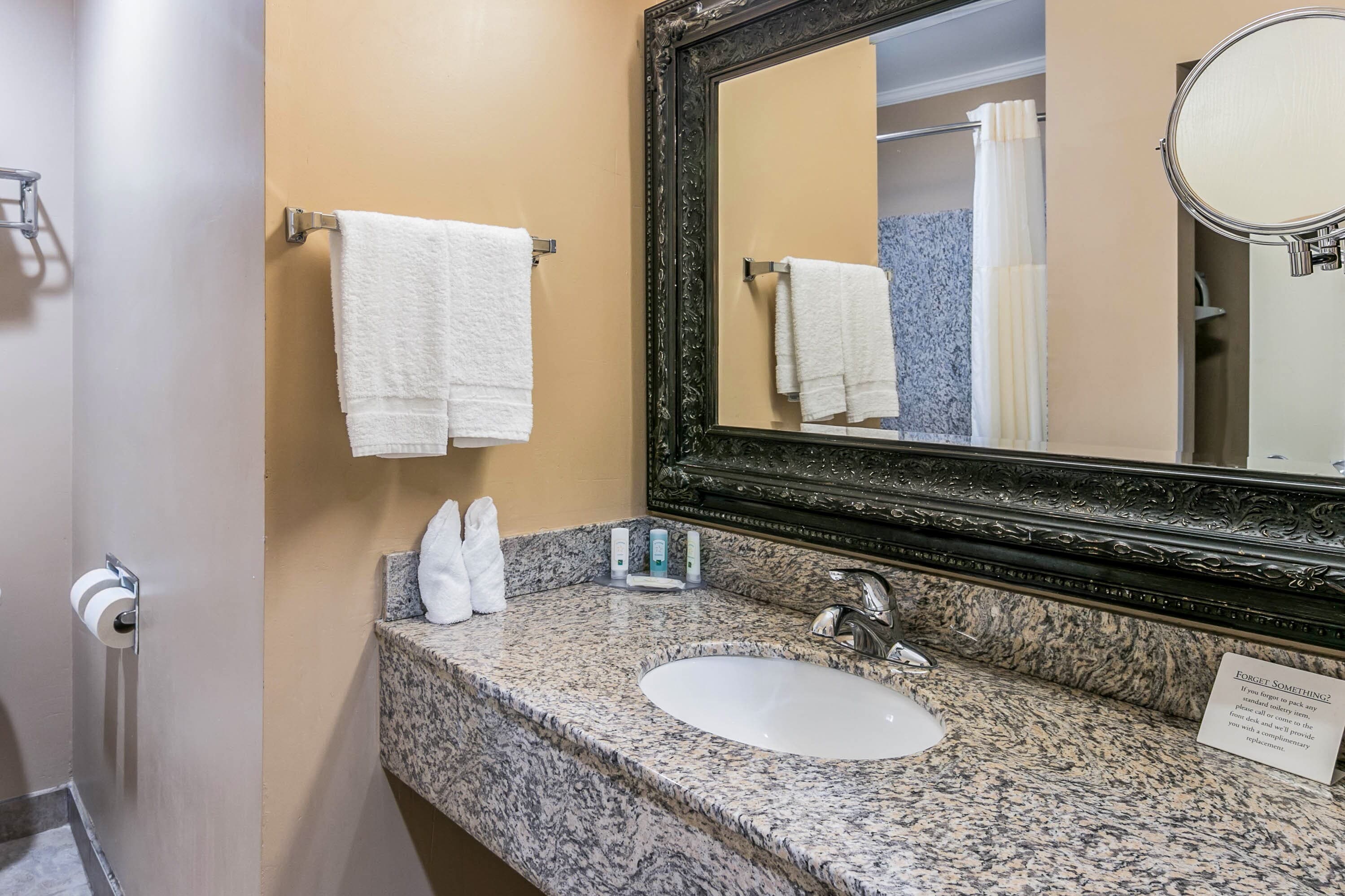 Quality Inn & Suites Atlanta Airport South — 16