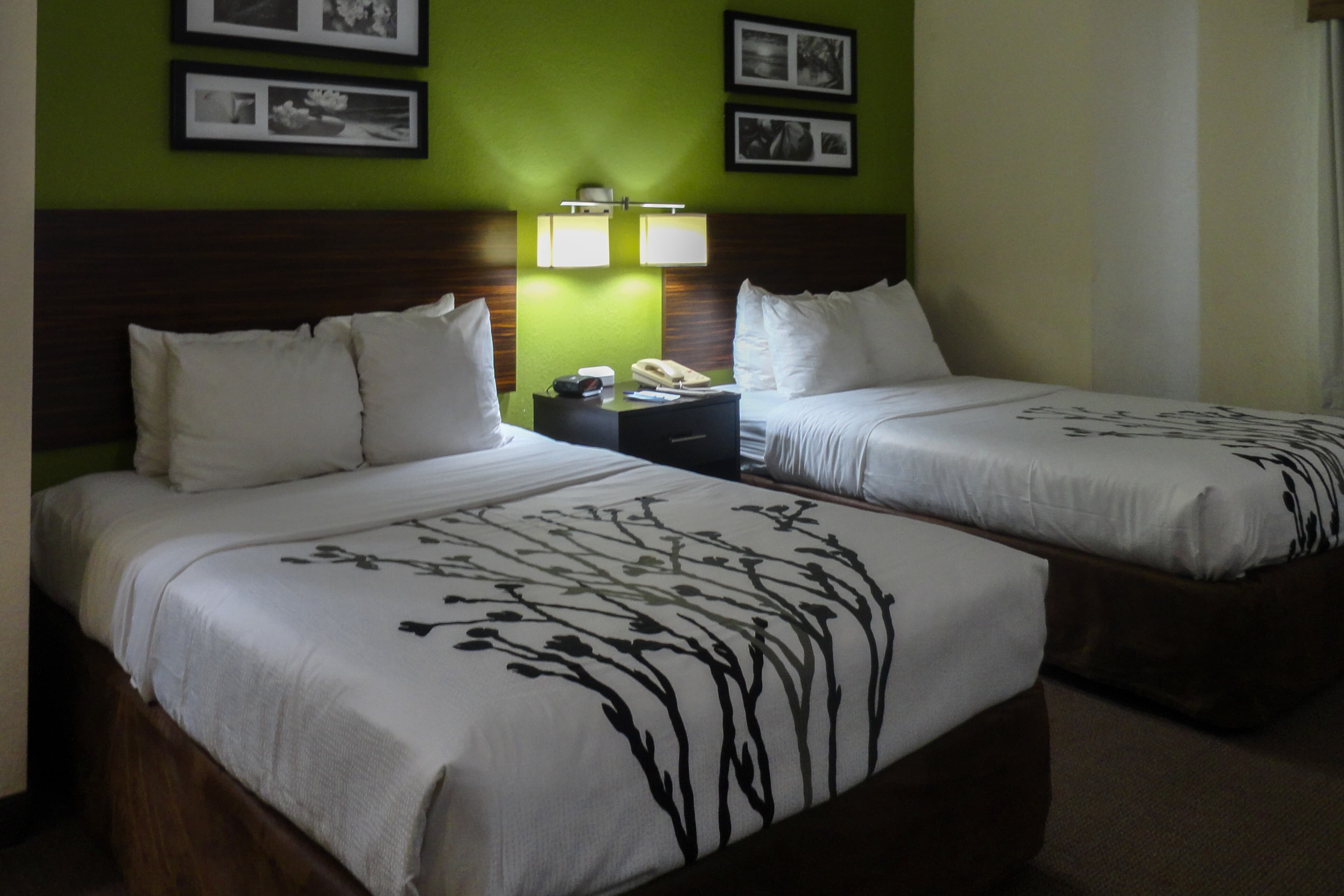Sleep Inn & Suites Columbus - State University Area - Image 2