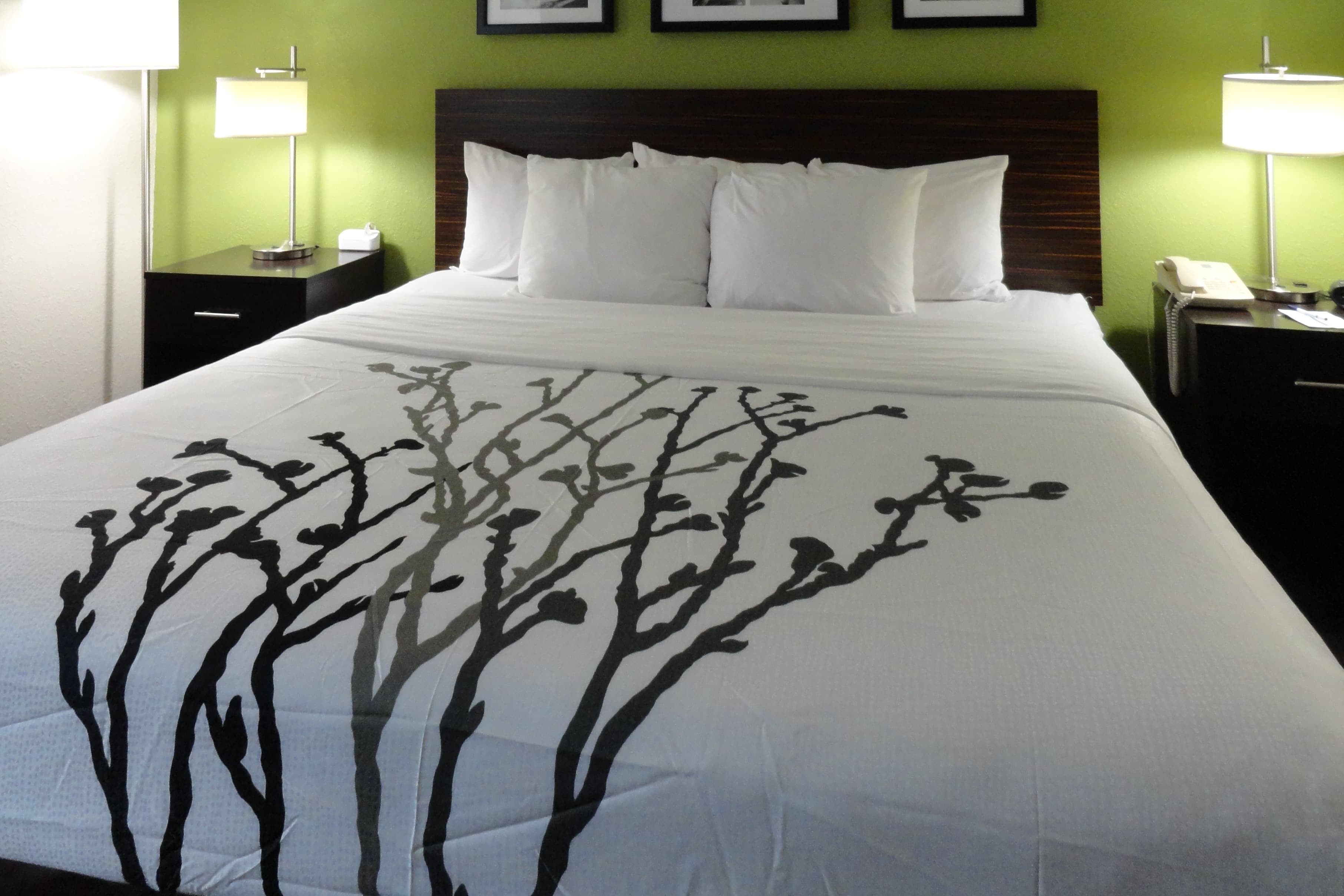 Sleep Inn & Suites Columbus - State University Area — 12