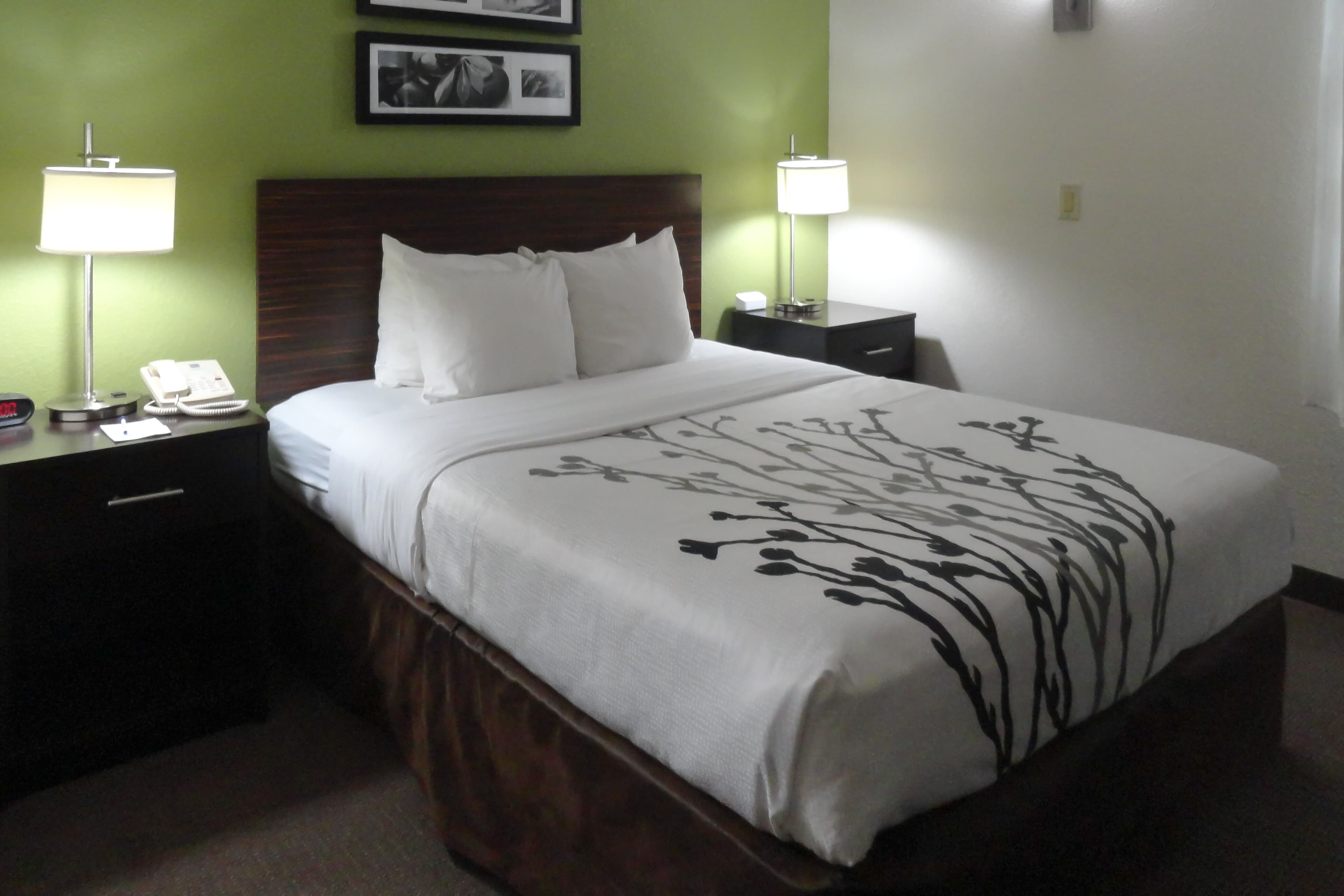 Sleep Inn & Suites Columbus - State University Area - Image 5