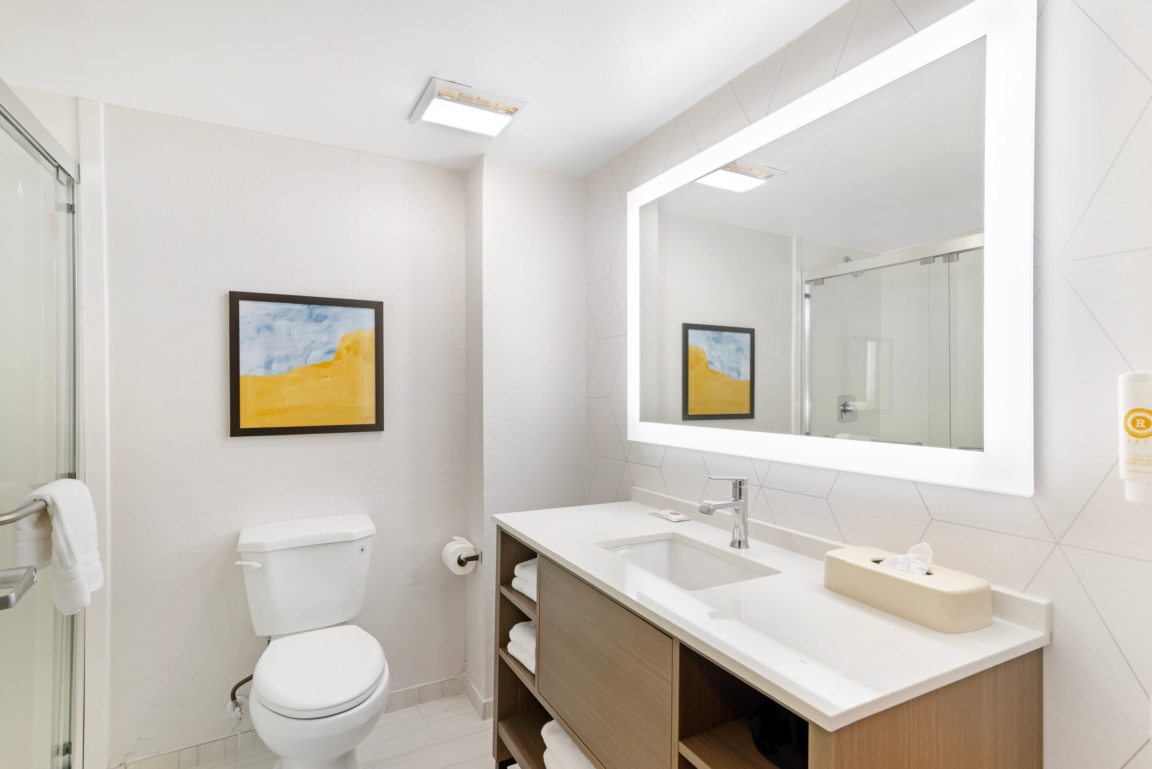 Comfort Suites Northside Hospital Gwinnett — 16