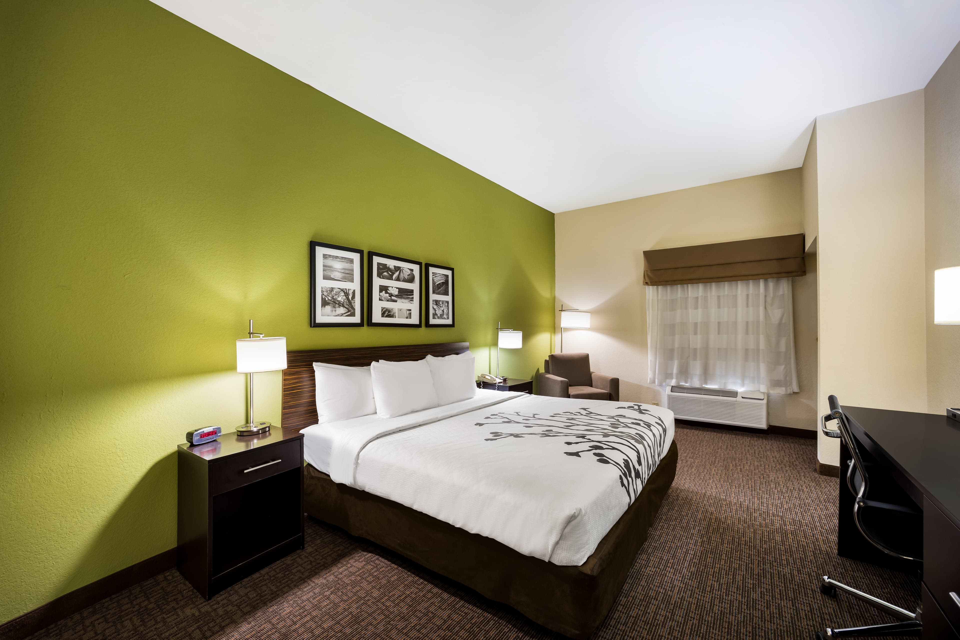 Sleep Inn & Suites Valdosta Mall Area - Image 2