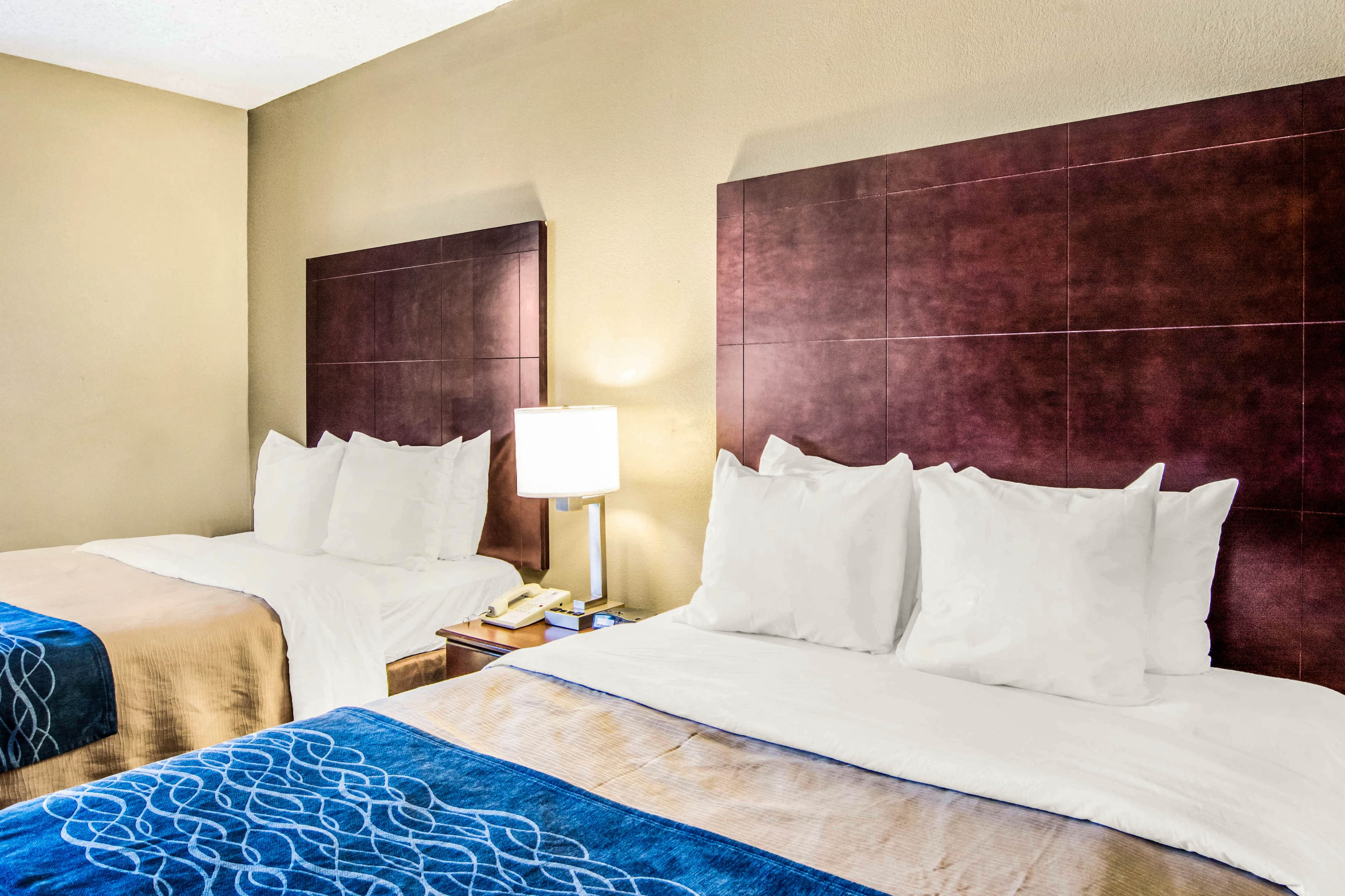 Comfort Inn Atlanta Downtown South - Image 5