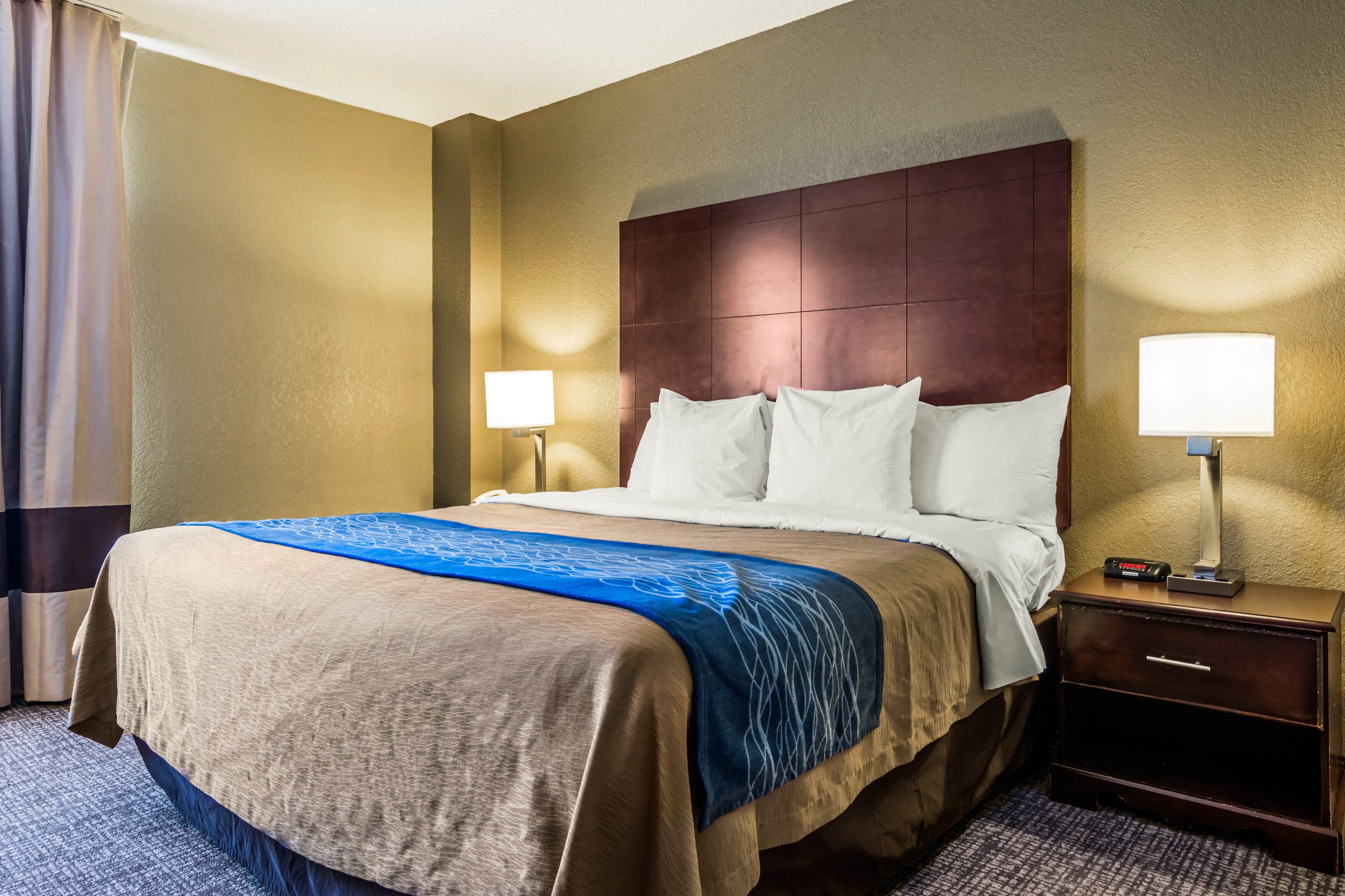 Comfort Inn Atlanta Downtown South — 18