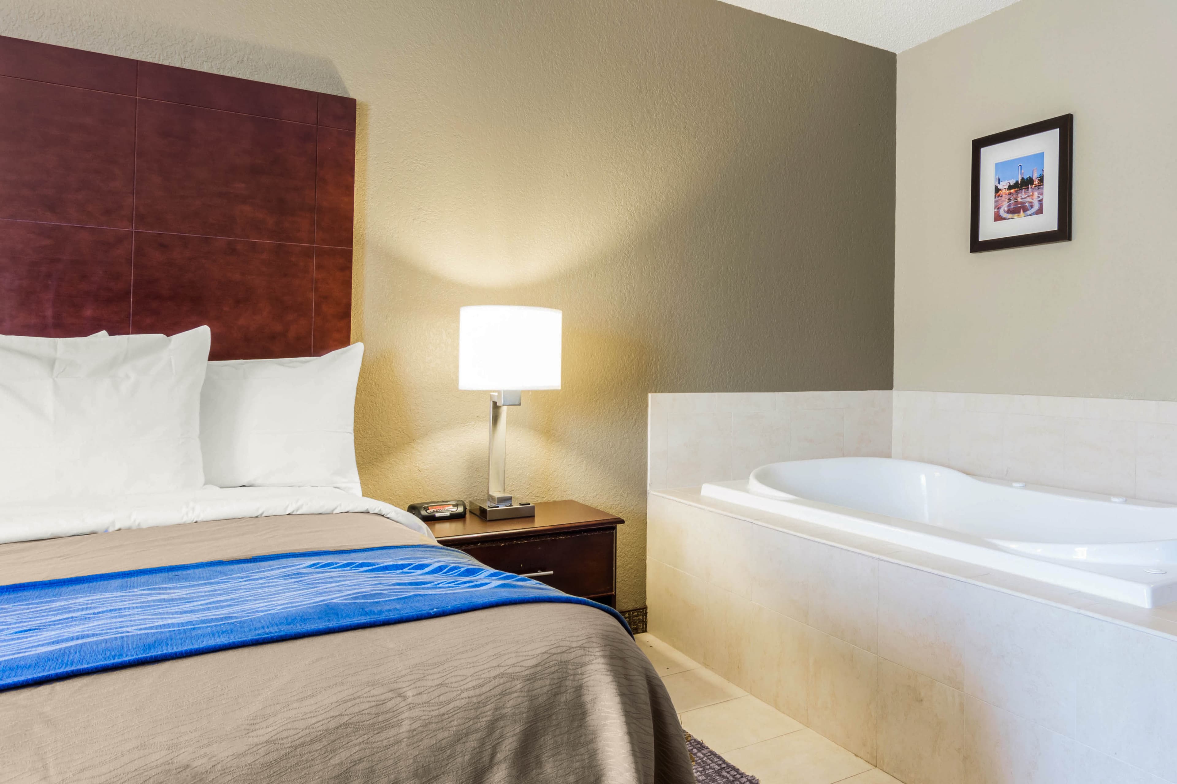 Comfort Inn Atlanta Downtown South — 21