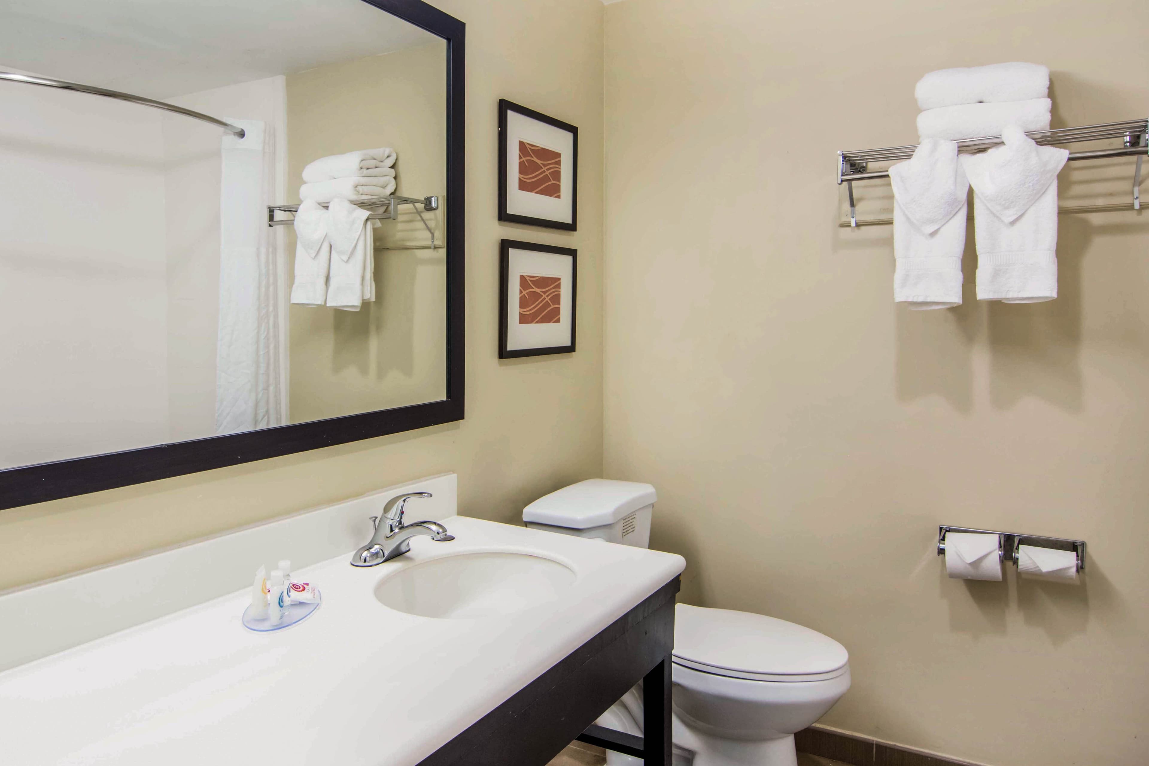 Comfort Inn Atlanta Downtown South — 23