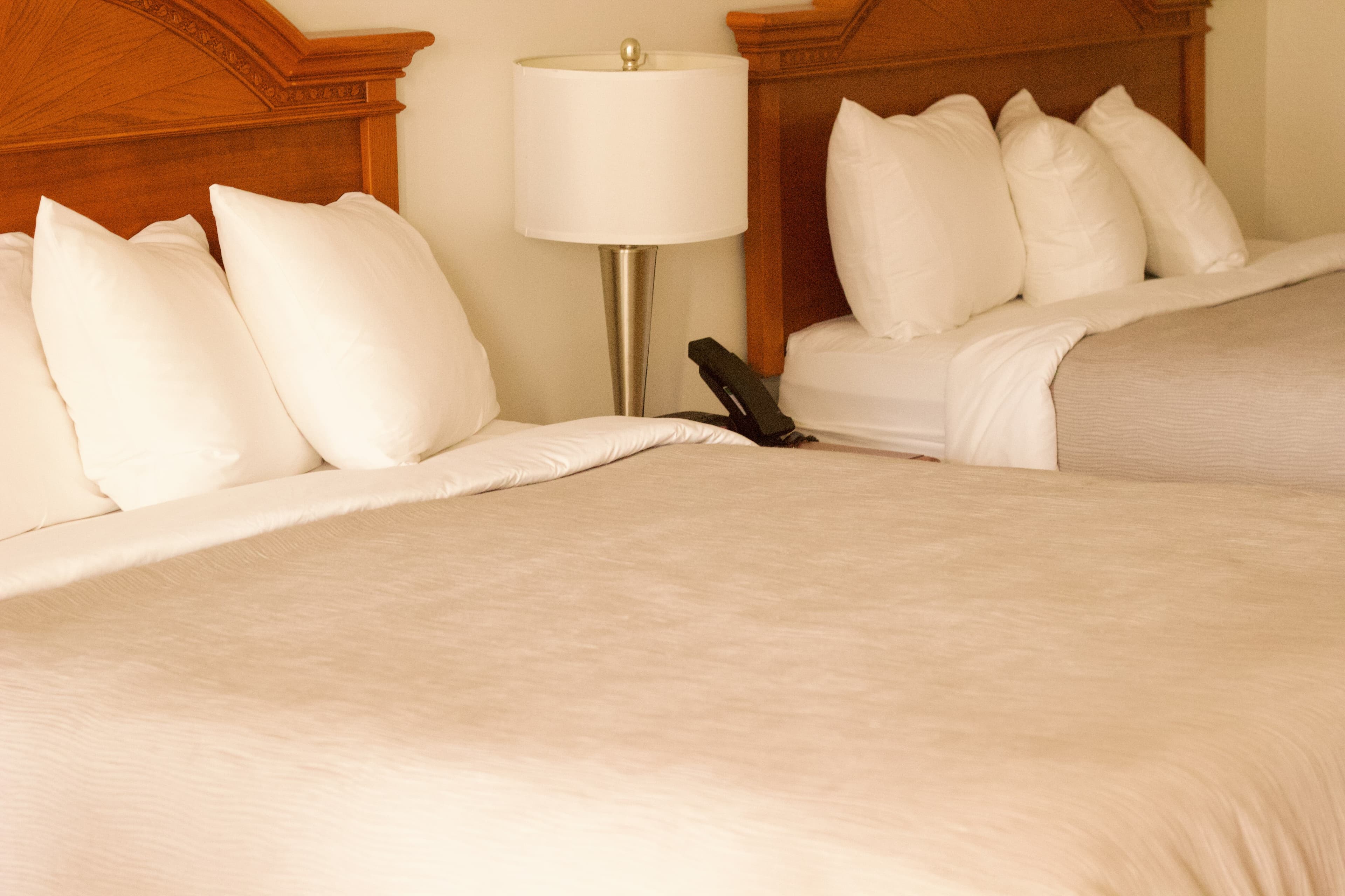 Quality Inn near Chattanooga South - Image 2