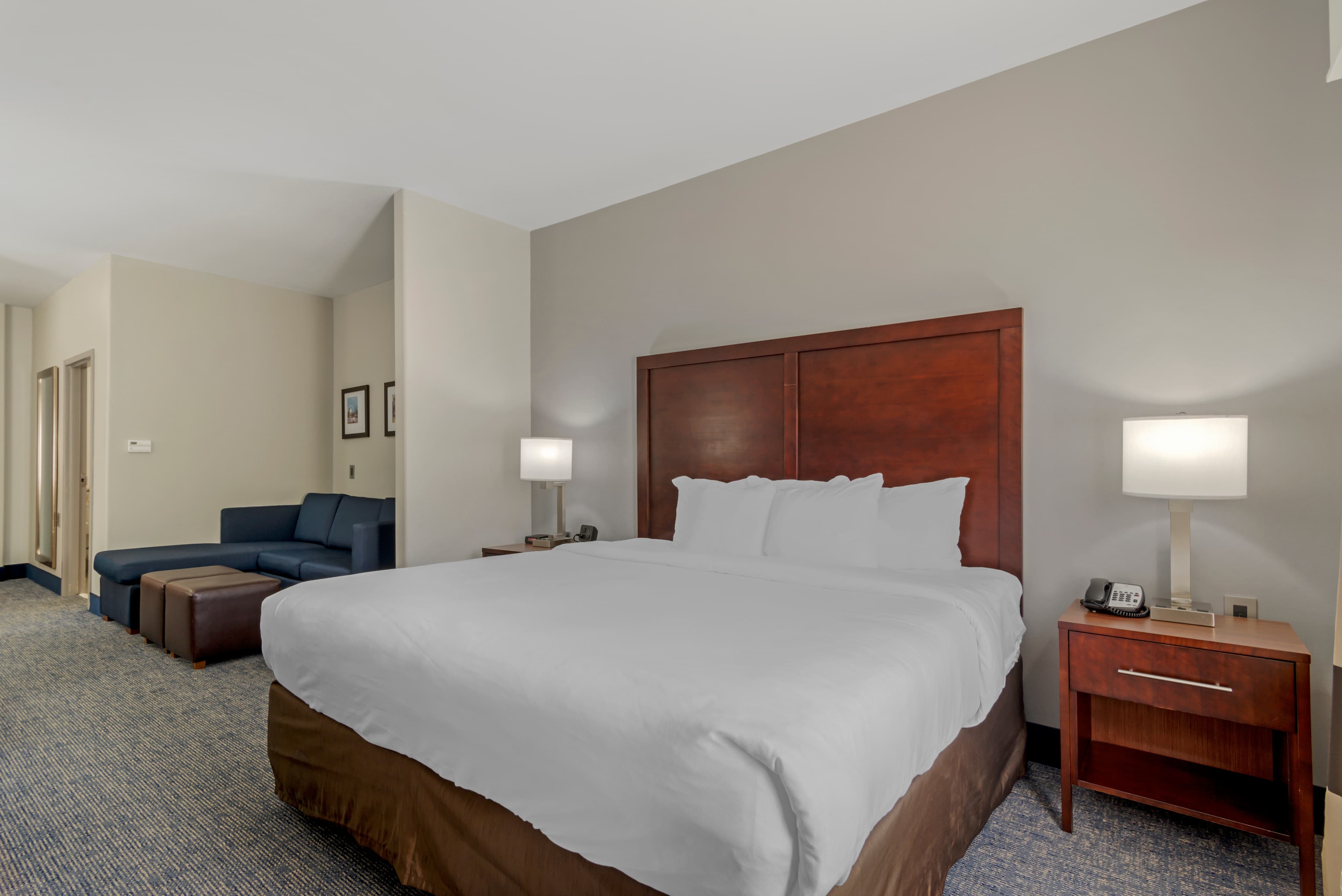 Comfort Suites Stockbridge Atlanta South — 7