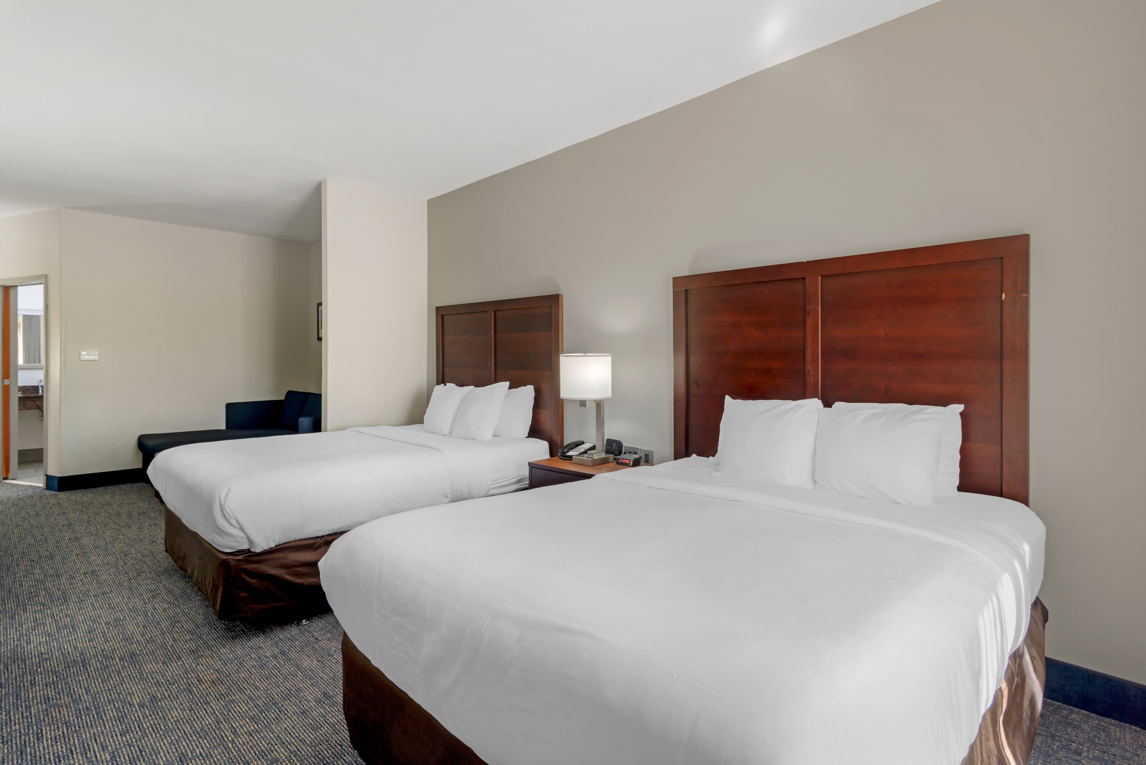Comfort Suites Stockbridge Atlanta South — 10