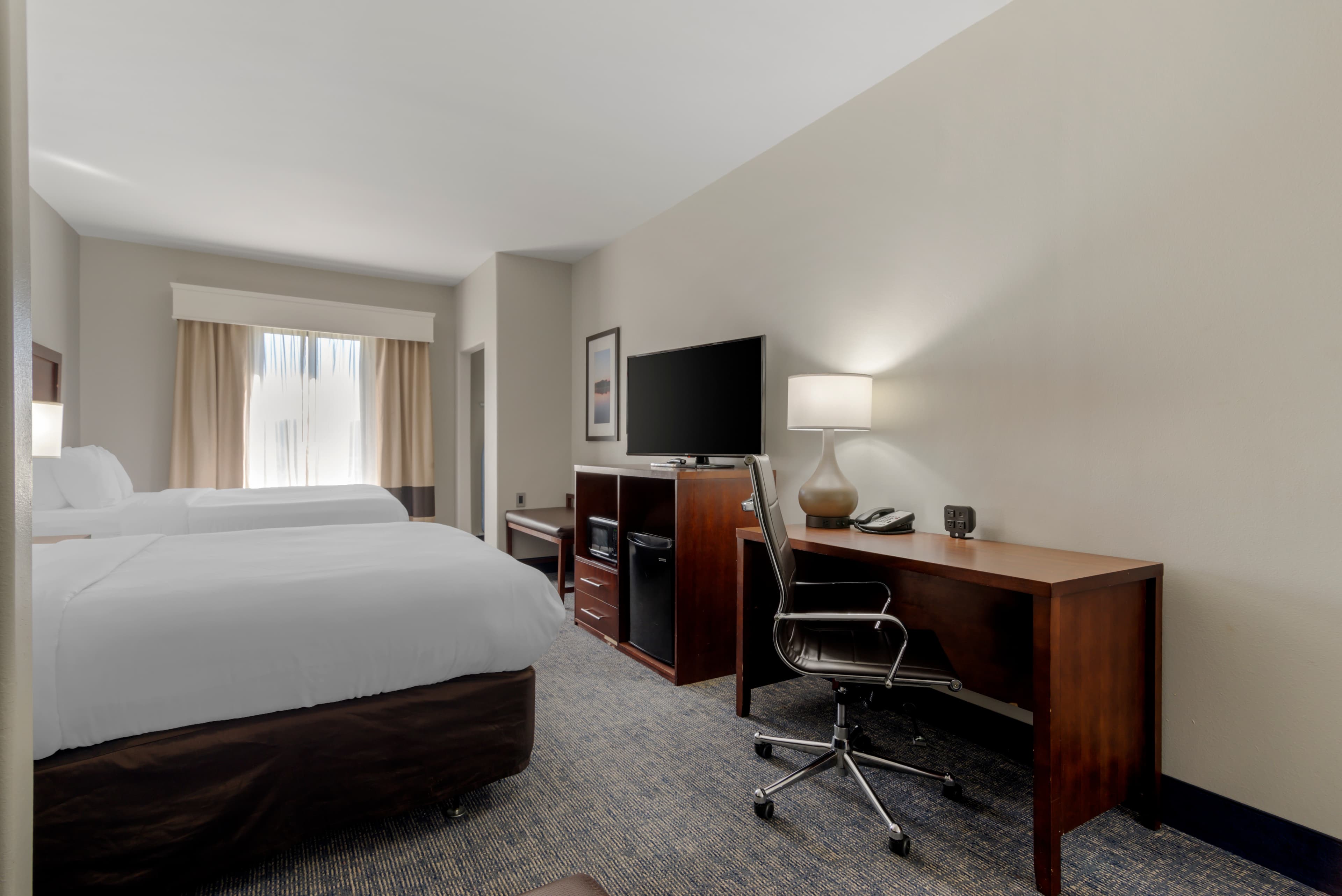 Comfort Suites Stockbridge Atlanta South — 12