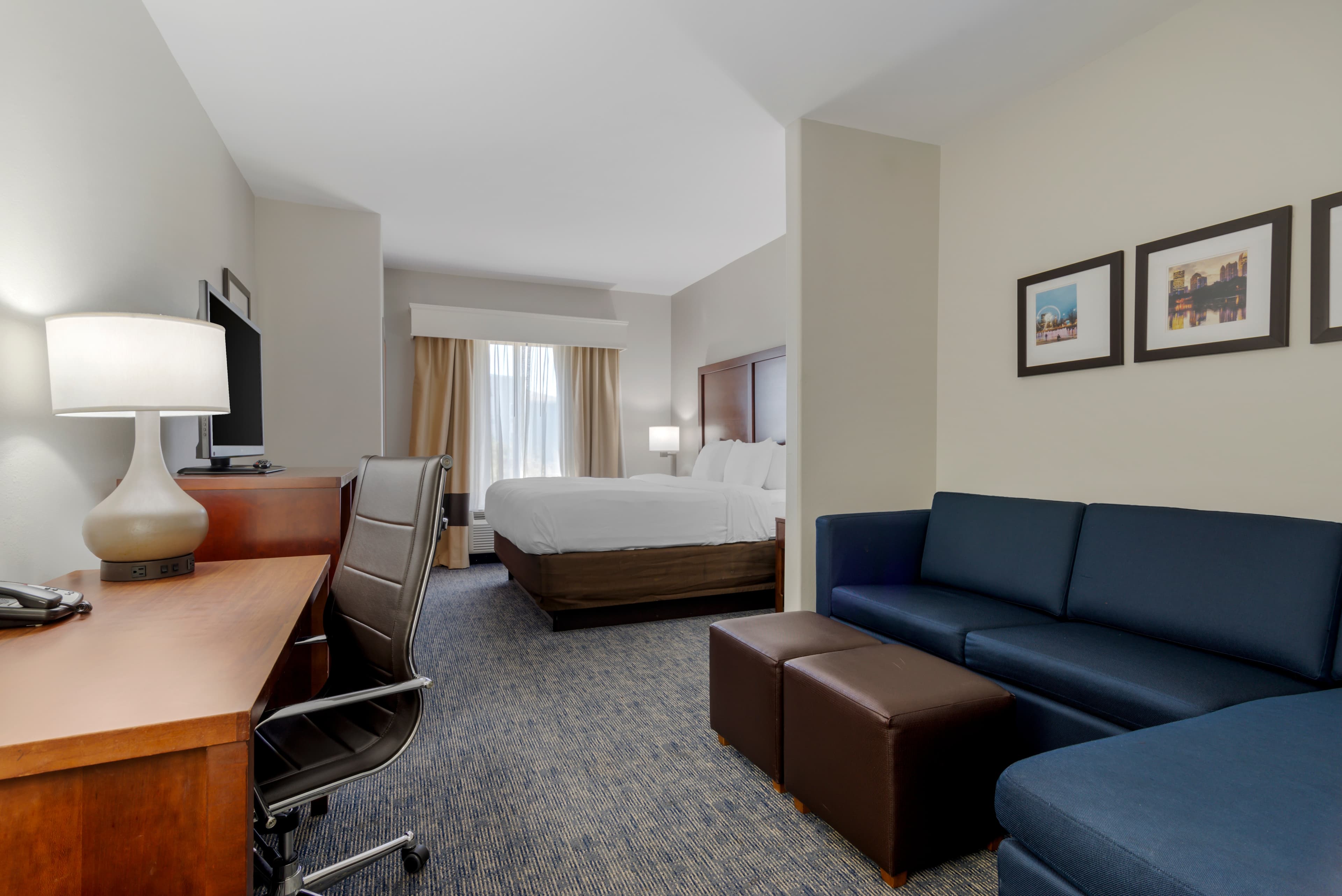 Comfort Suites Stockbridge Atlanta South — 16