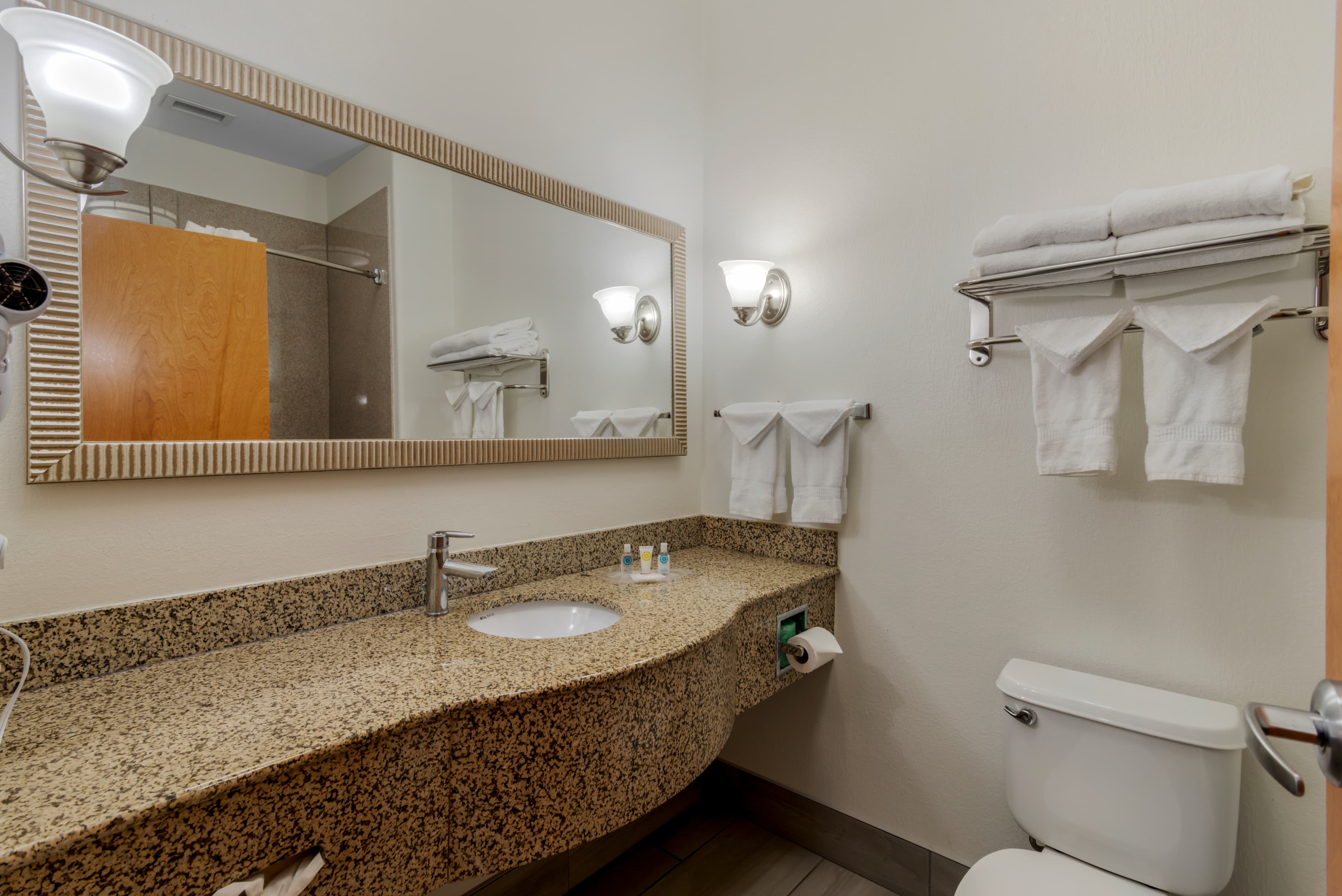 Comfort Suites Stockbridge Atlanta South — 17