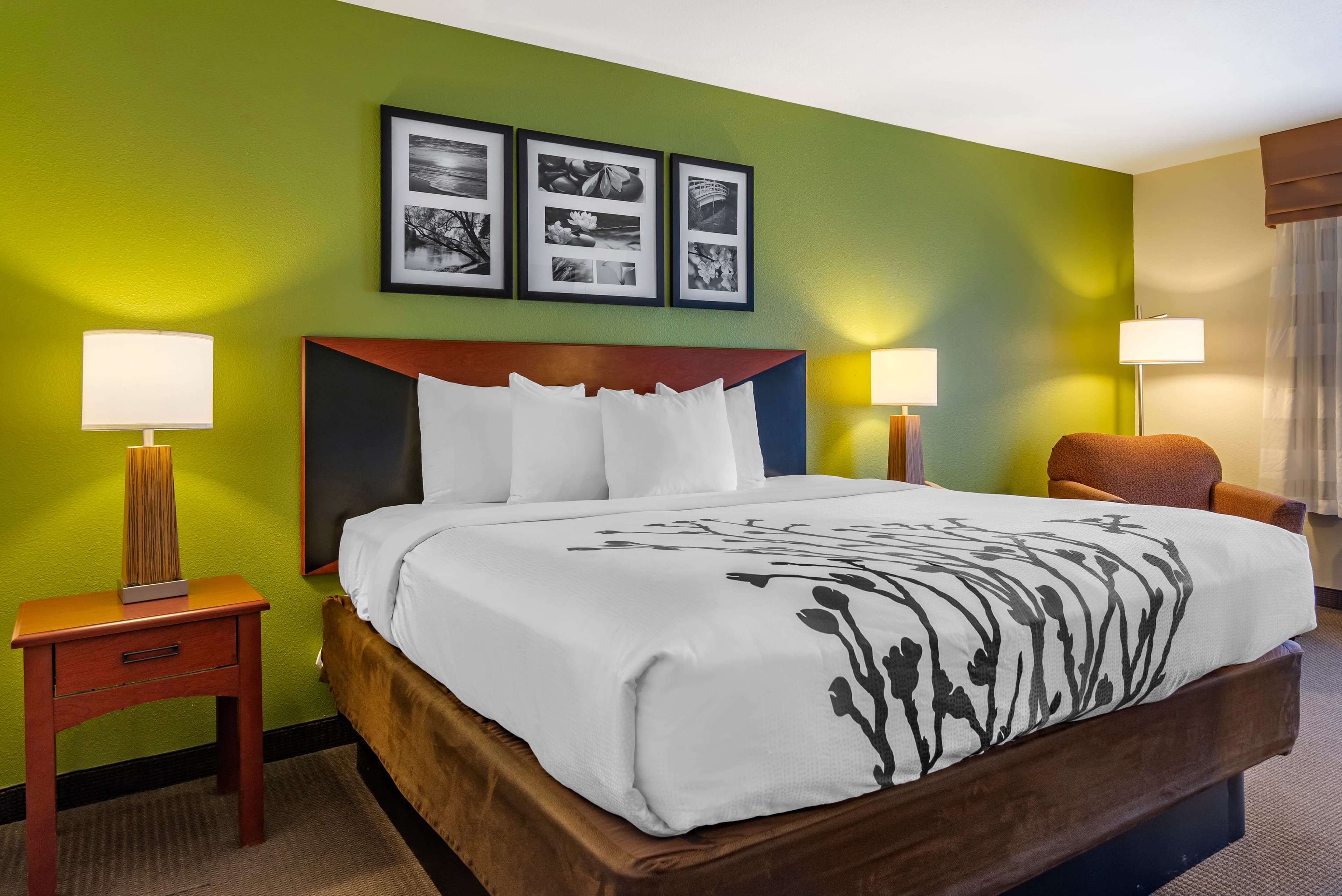 Sleep Inn & Suites Stockbridge Atlanta South - Image 2