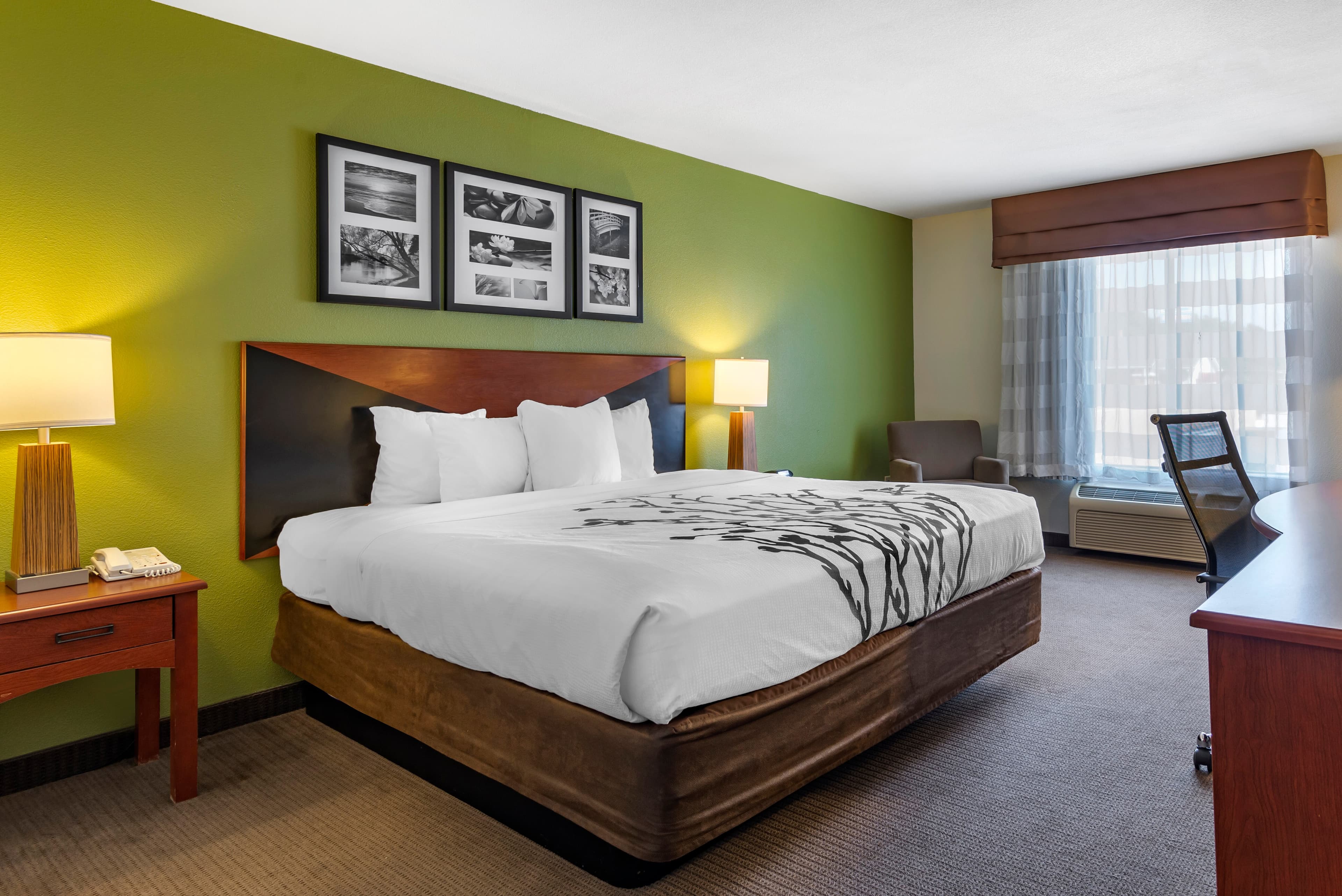 Sleep Inn & Suites Stockbridge Atlanta South - Image 5