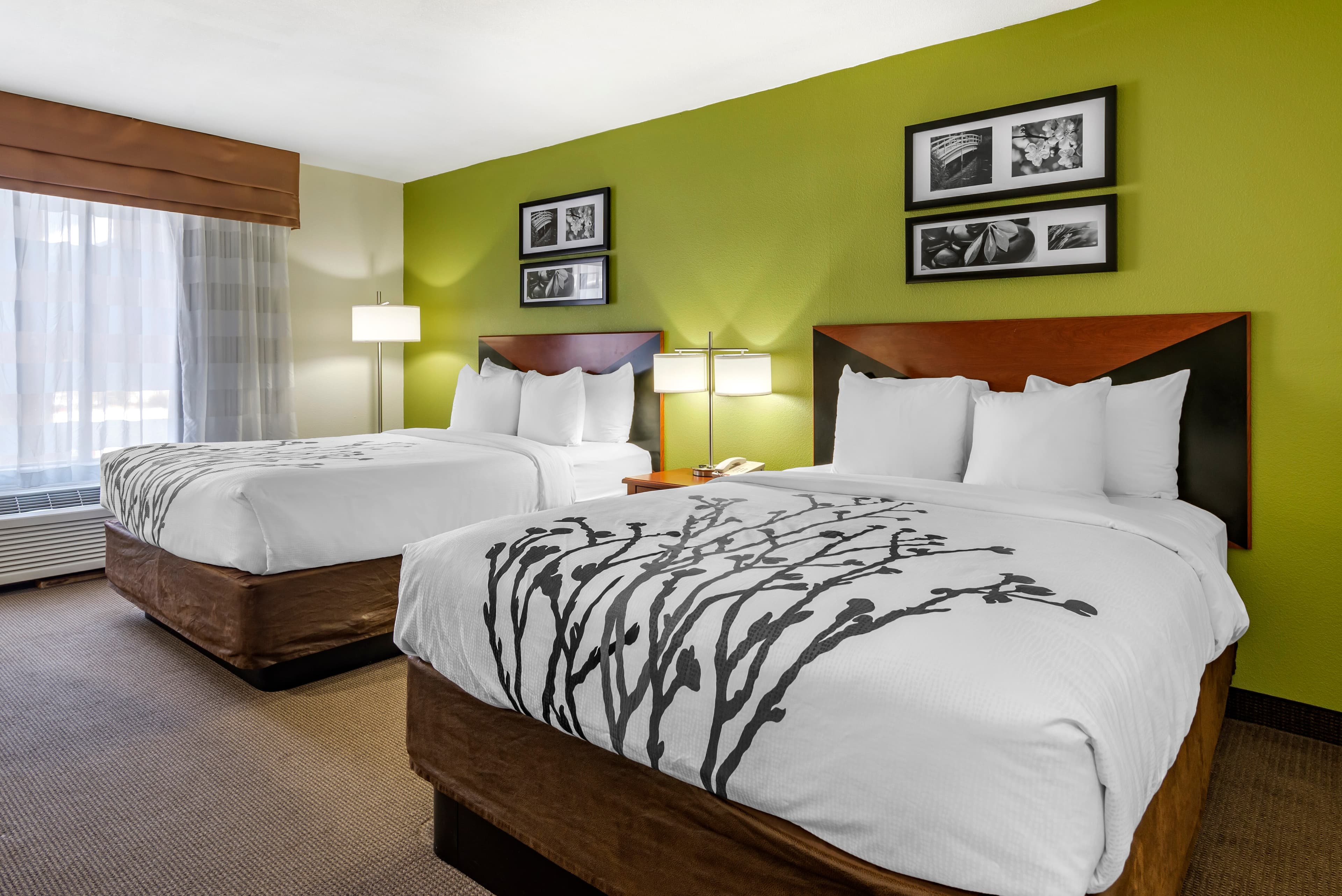 Sleep Inn & Suites Stockbridge Atlanta South — 8