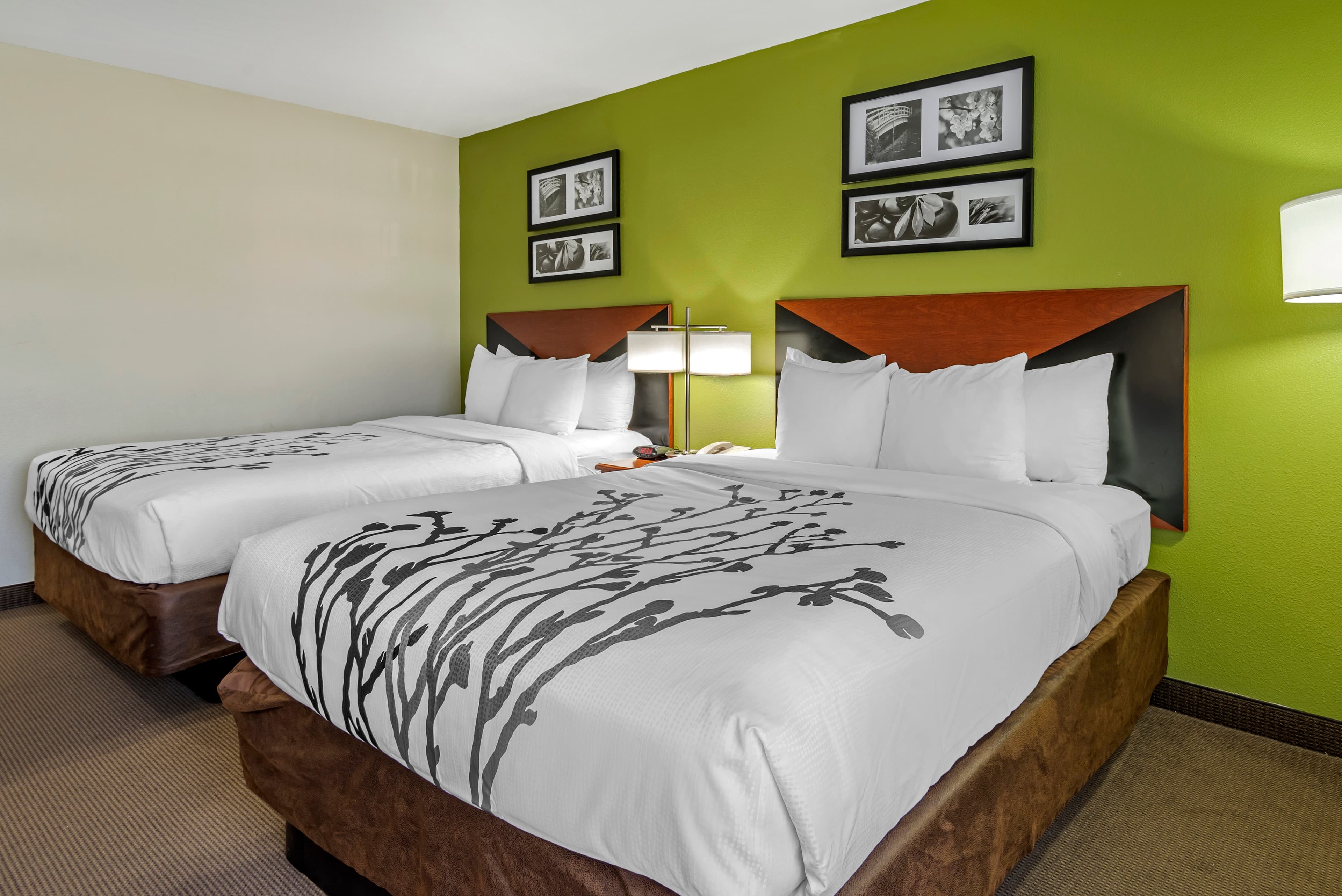 Sleep Inn & Suites Stockbridge Atlanta South — 14