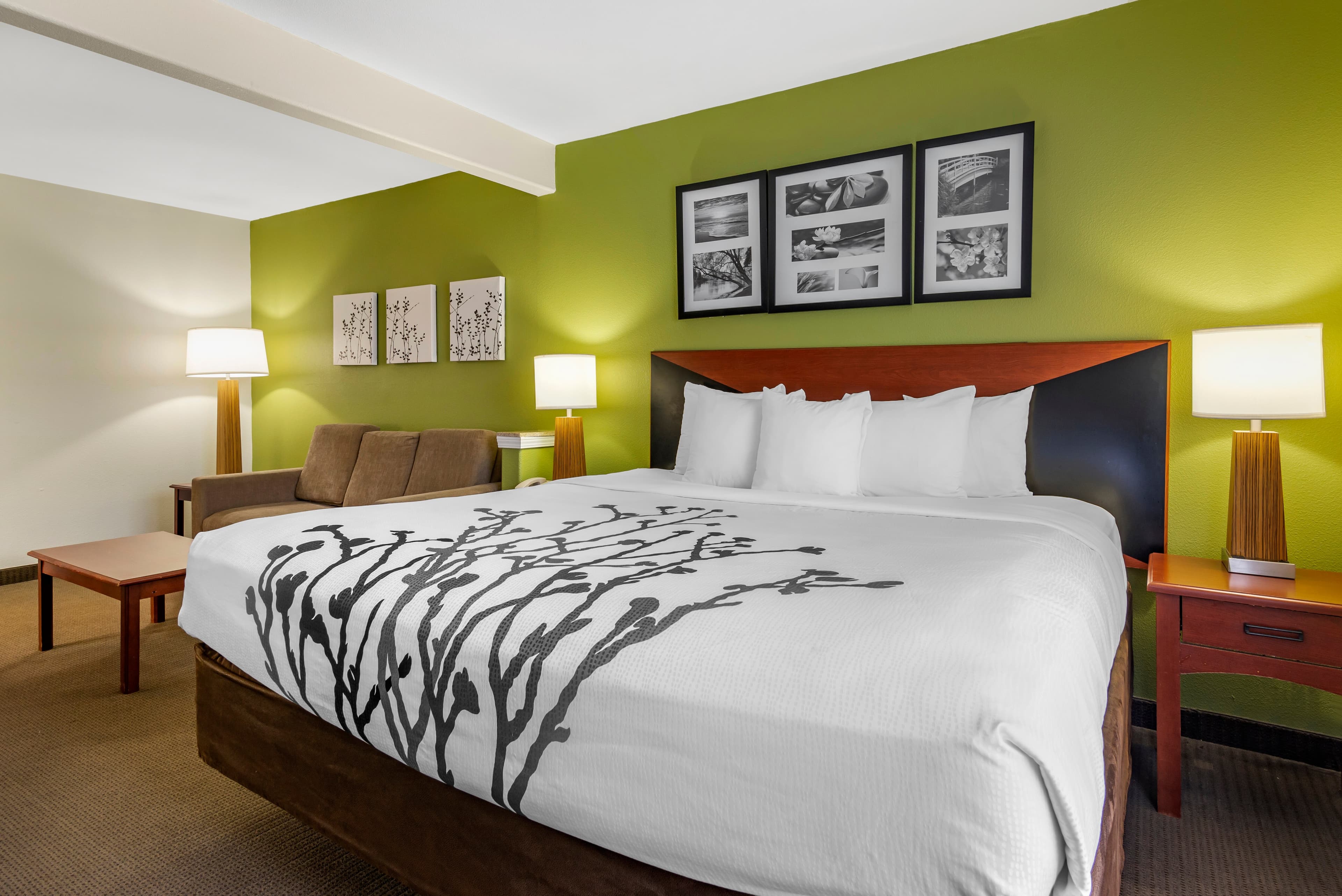 Sleep Inn & Suites Stockbridge Atlanta South — 19