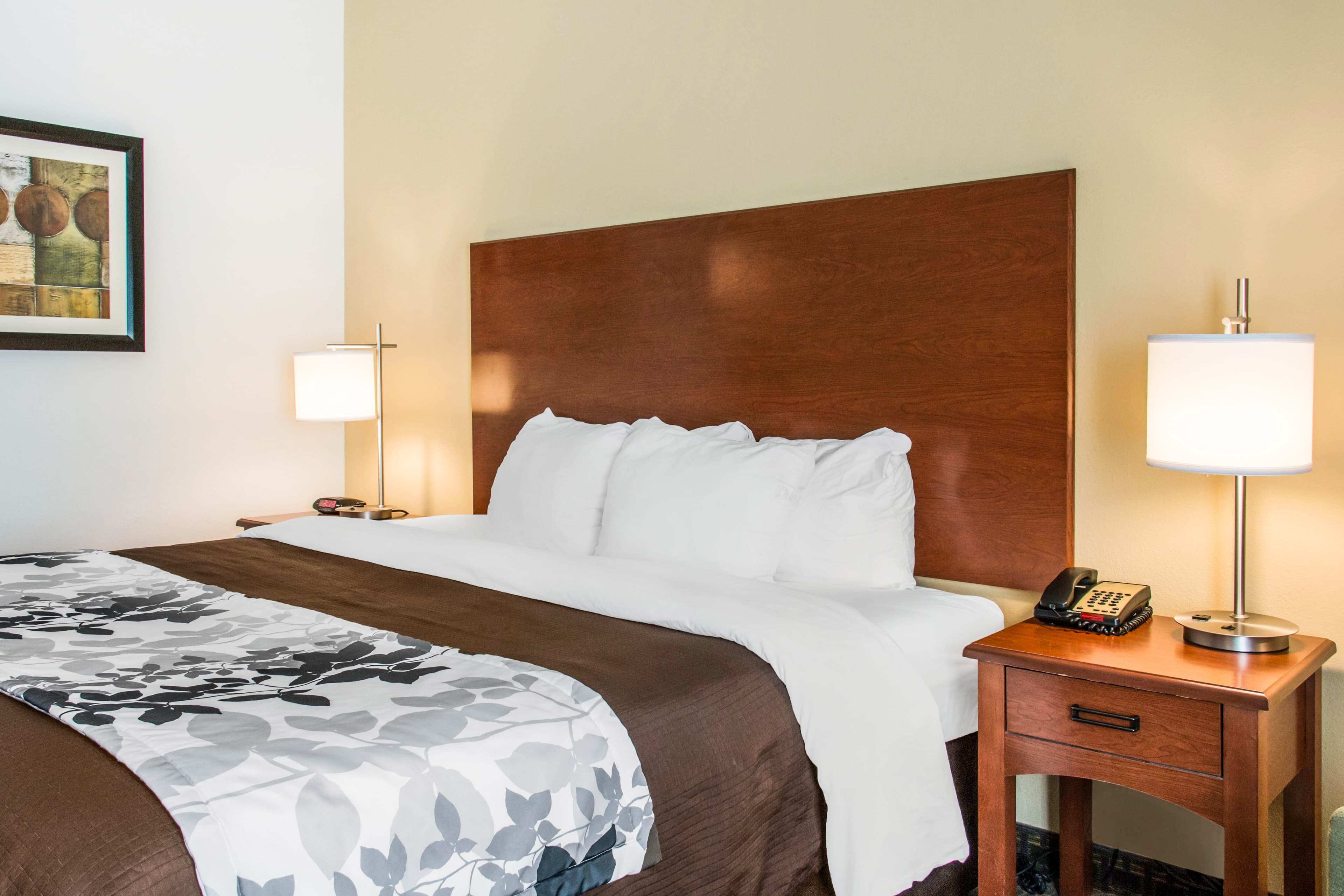Sleep Inn & Suites Pooler - Savannah Area - Image 3